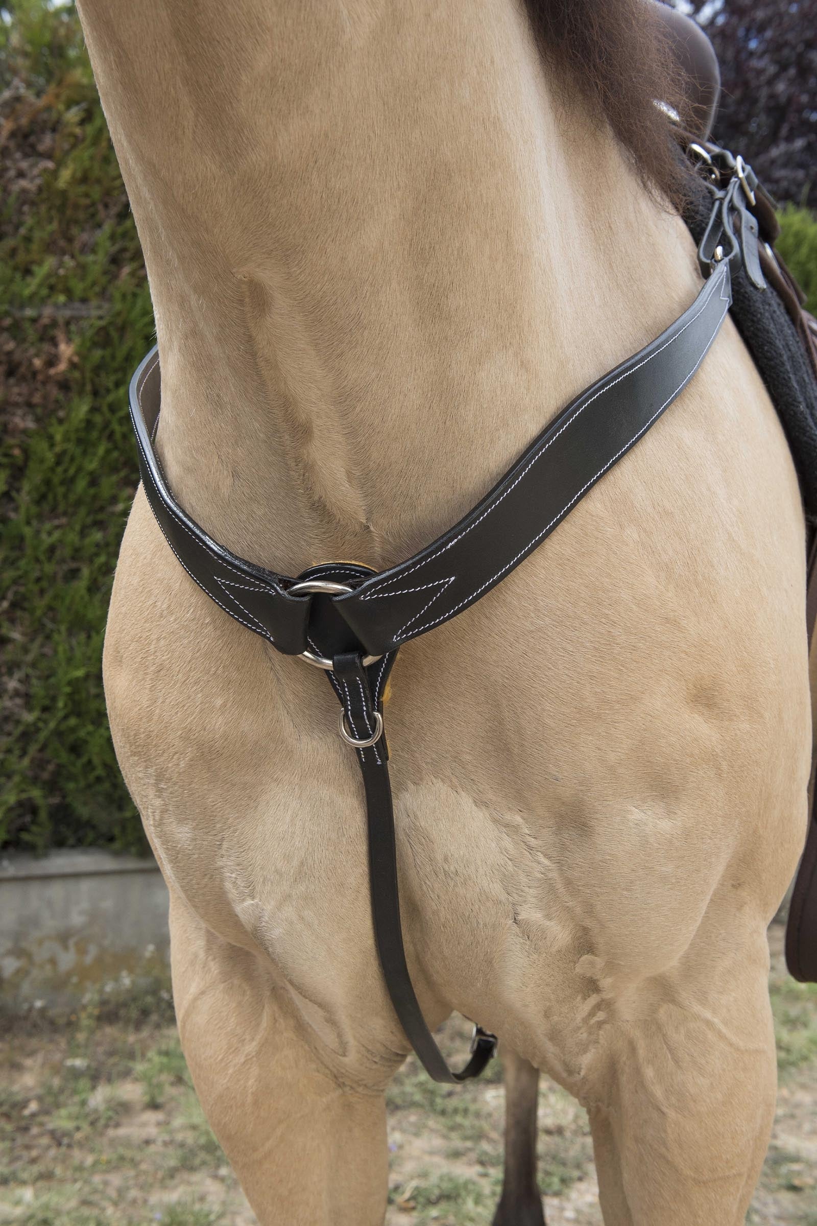WESTRIDE Collier de chasse western surpiqué Briderie et enrênements