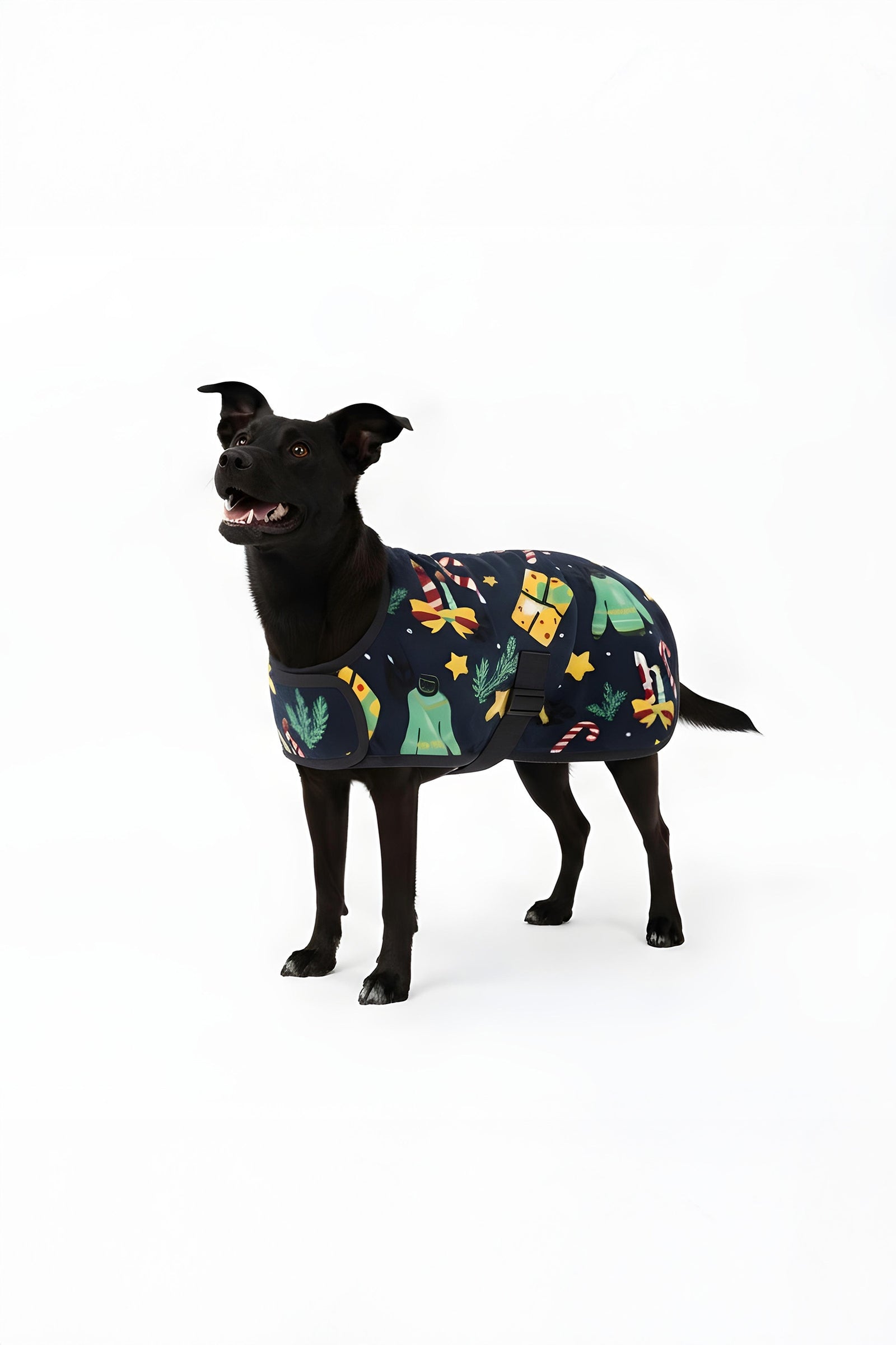 Horze Pull de Noël pour chien Horze Chiens