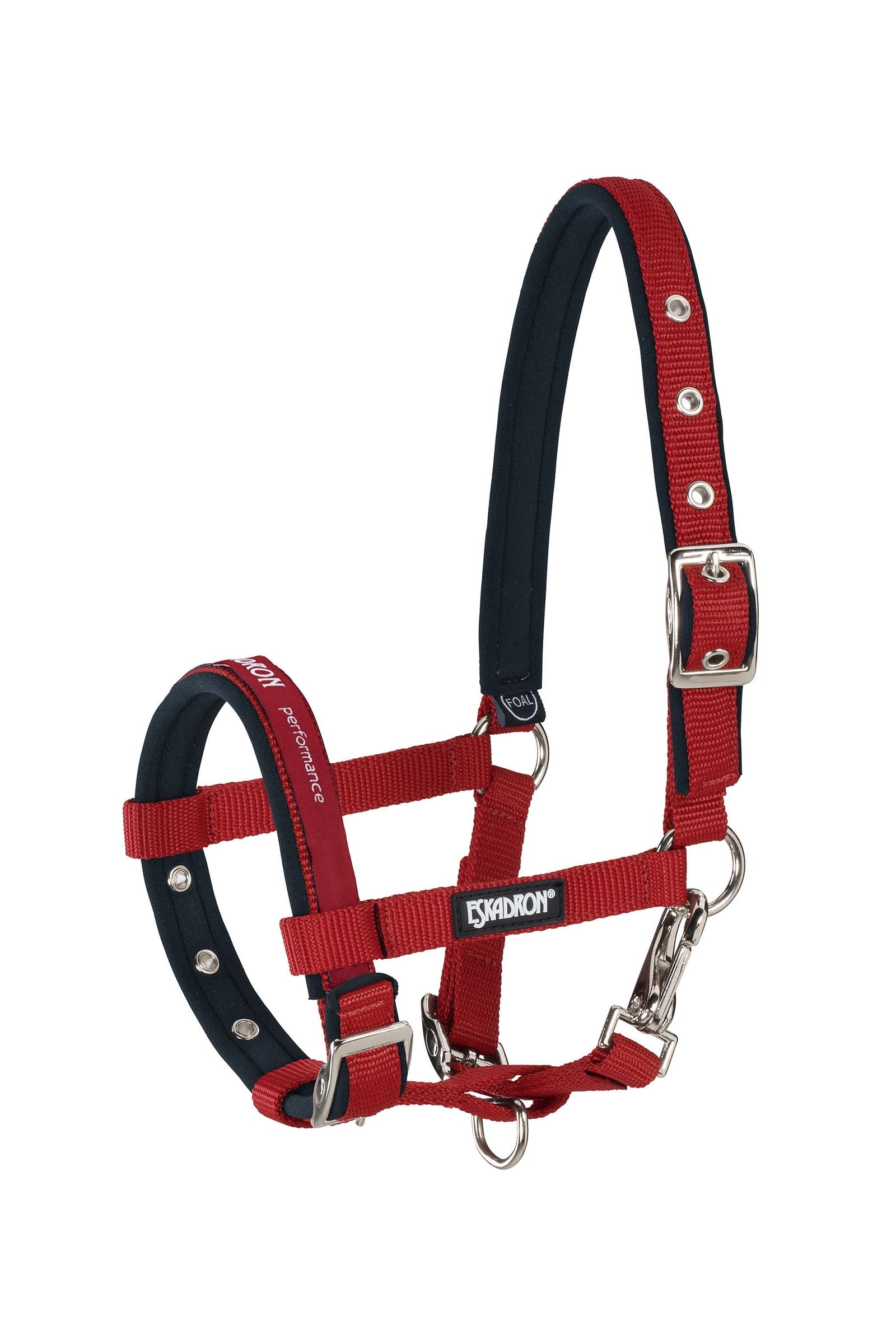 Eskadron Foal Halter Licols & longes