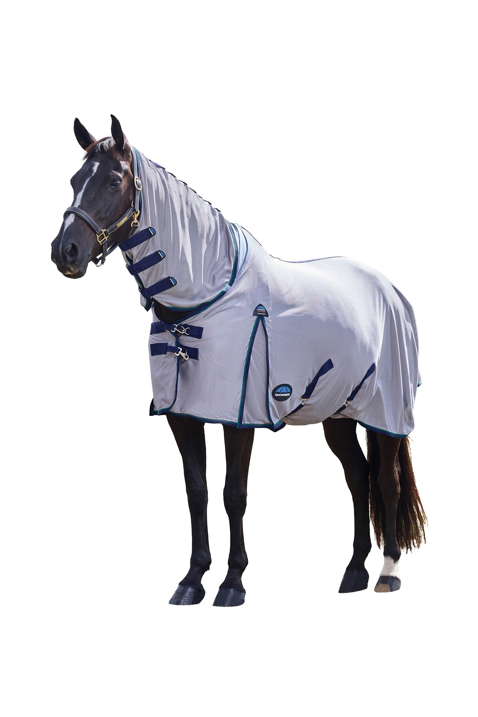 Weatherbeeta Comfitec Zephyr Fly Sheet Combo W. Fixed Neck, 0g Horse Rugs