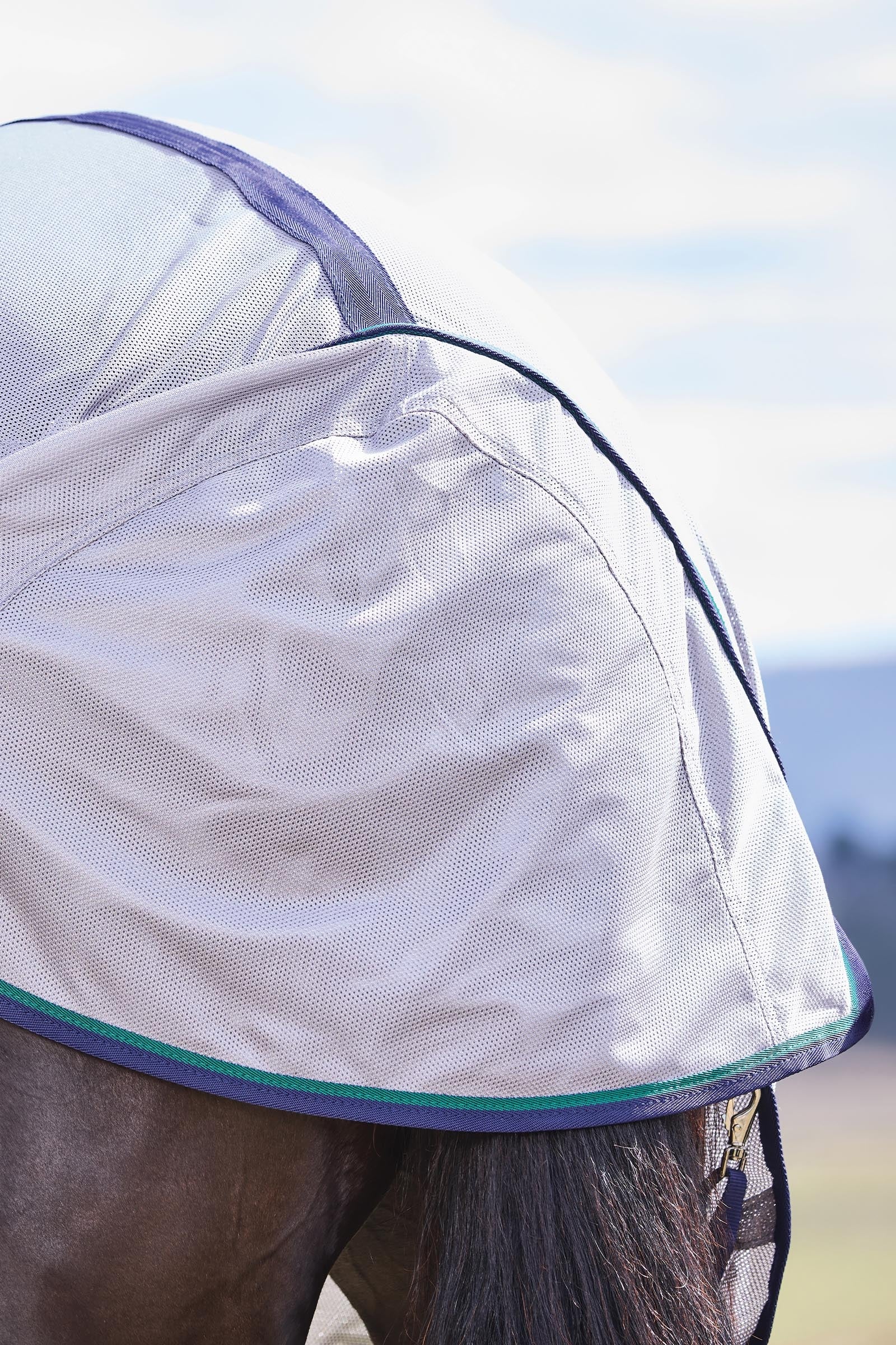 Weatherbeeta Comfitec Zephyr Fly Sheet Combo W. Fixed Neck, 0g Horse Rugs