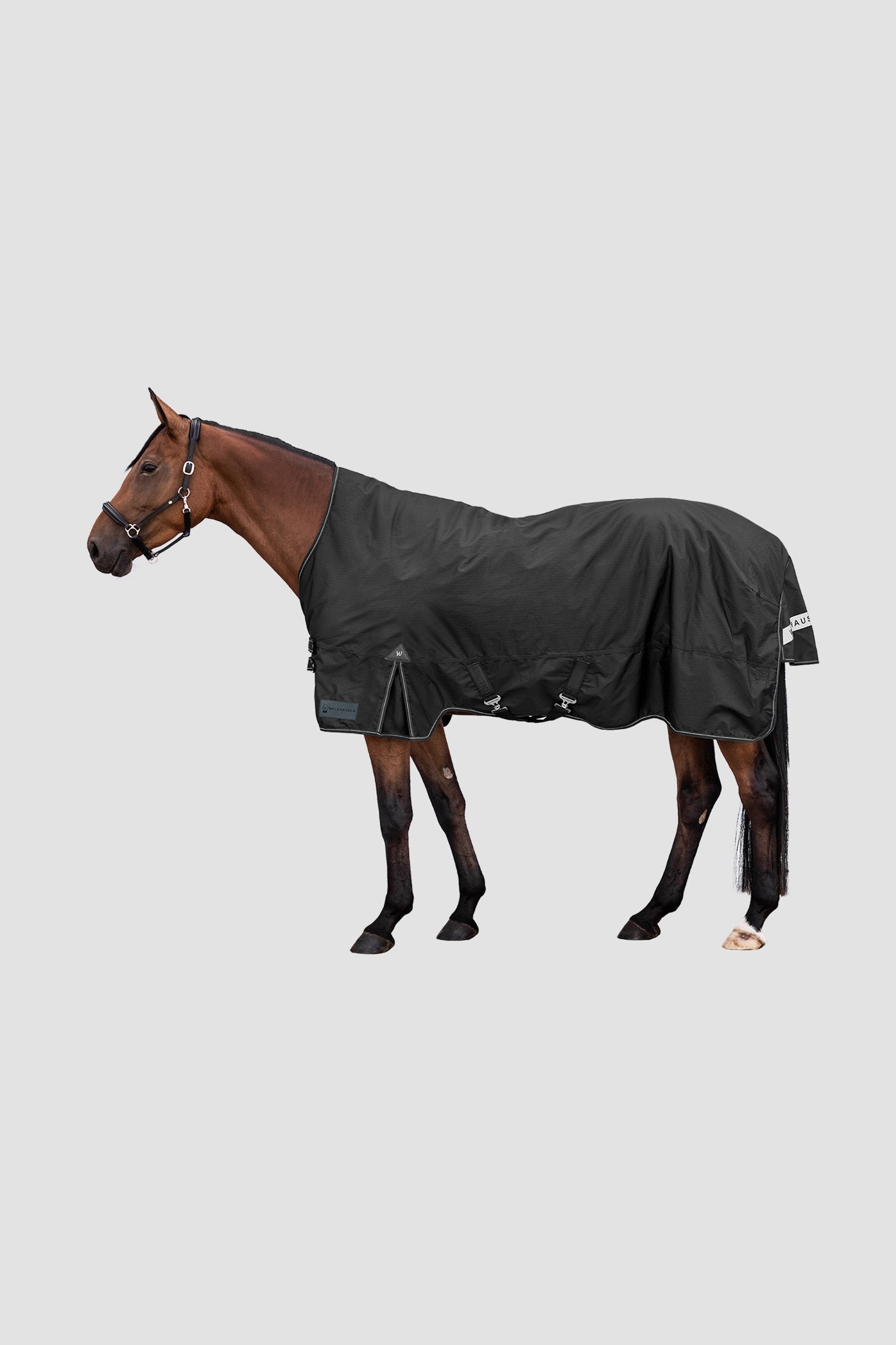 Waldhausen Outdoor Rug Arctic High Neck 200 g Couvertures cheval