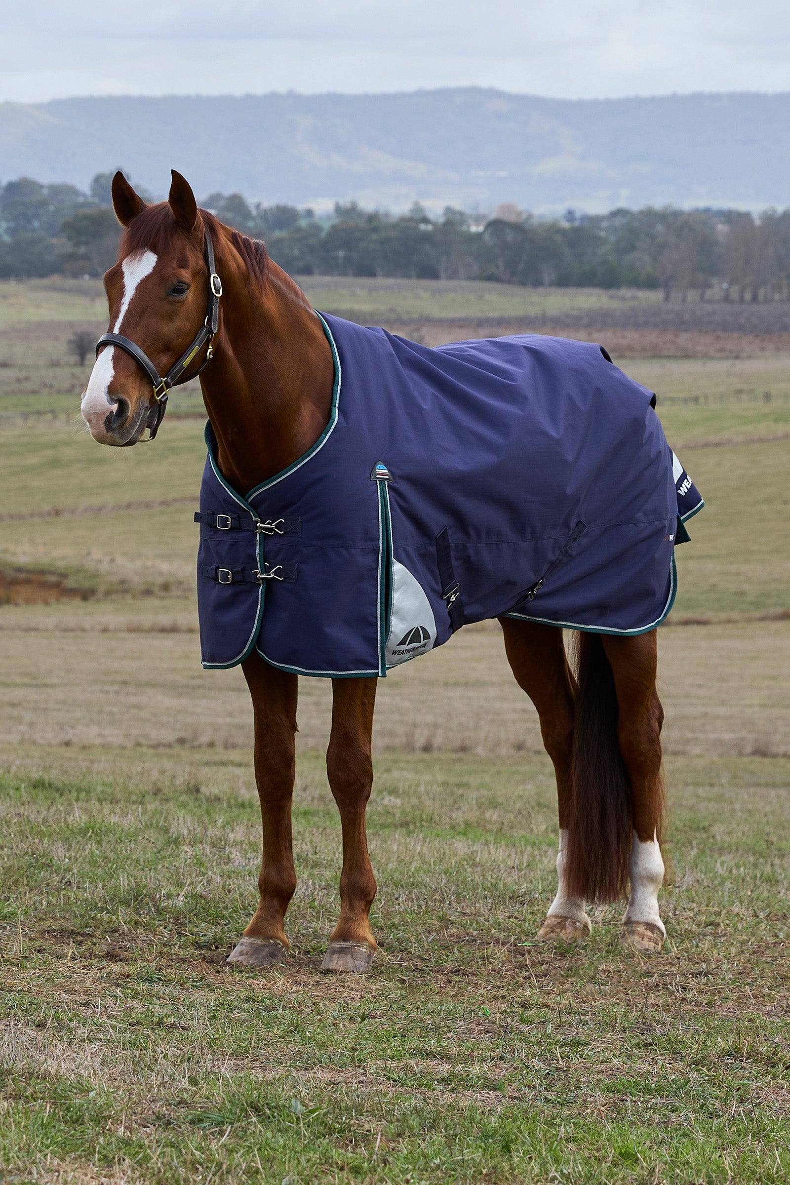Weatherbeeta ComFiTecPlus Dynamic Turnout Detach-a-Neck, 100 g Couvertures cheval