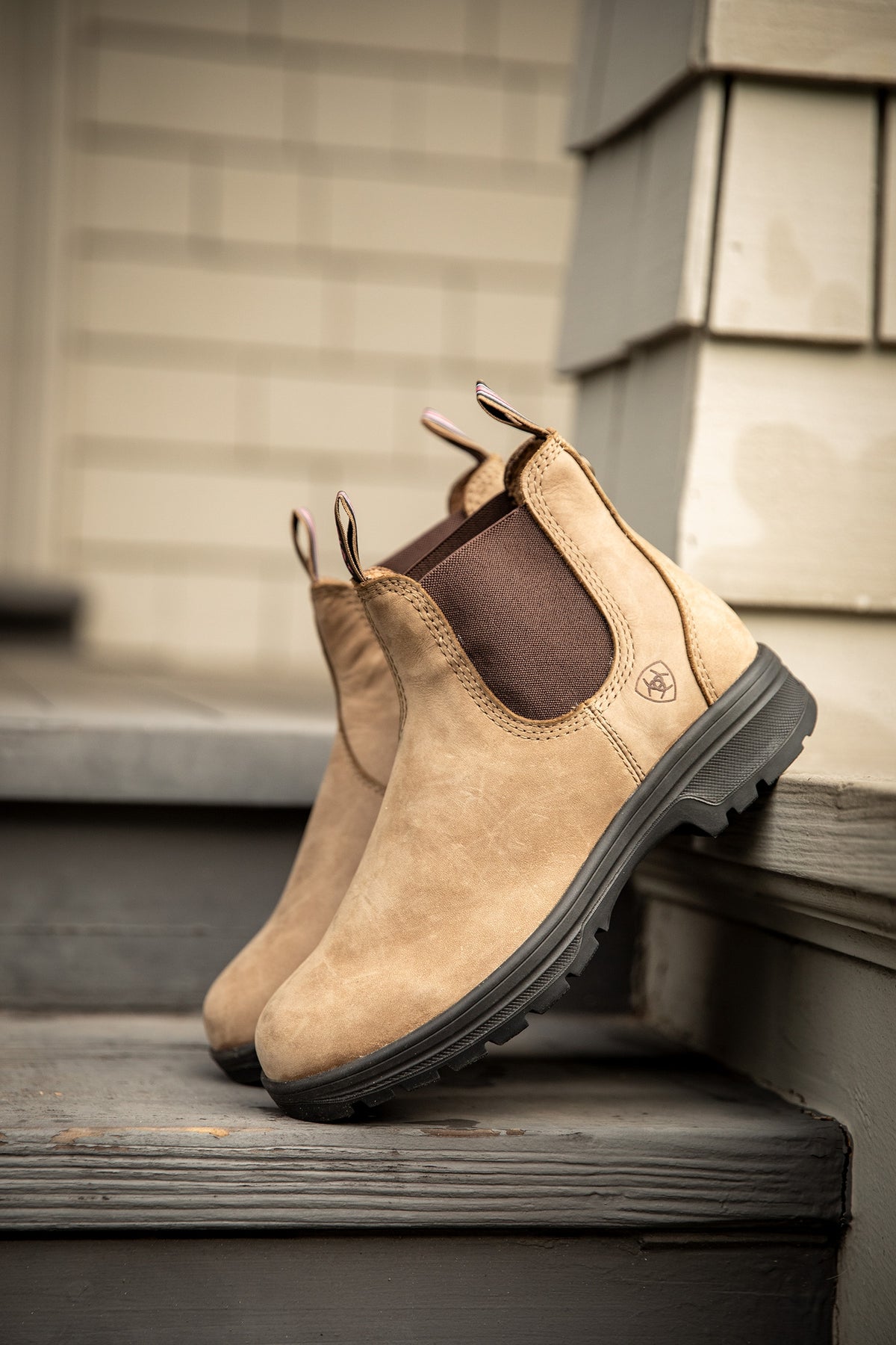 Ariat Women's Cooper Chelsea Boot Riding Boots & Riding Shoes