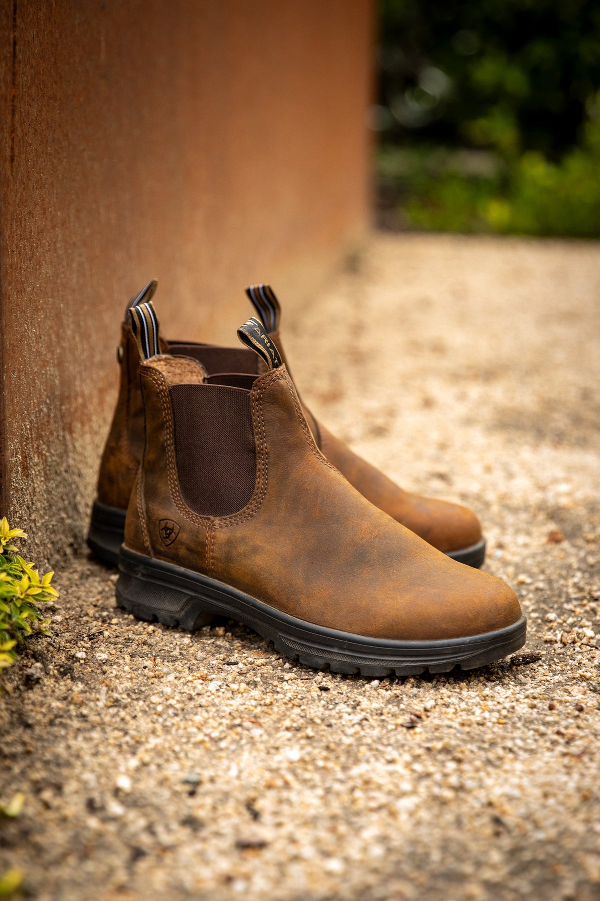 Ariat Women's Cooper Chelsea Boot Riding Boots & Riding Shoes