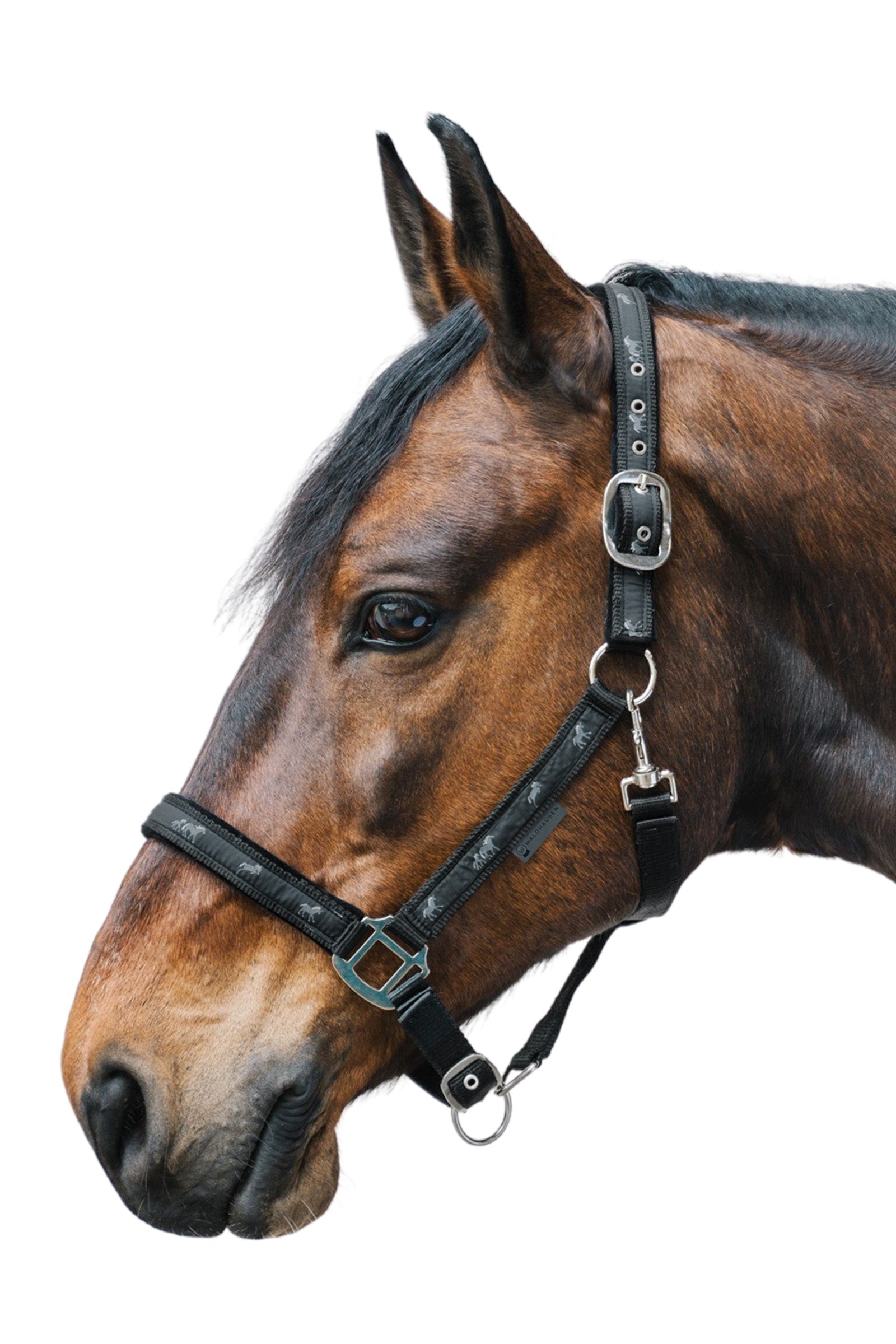 Waldhausen Little Horse Motiv Halter Halters & Leads