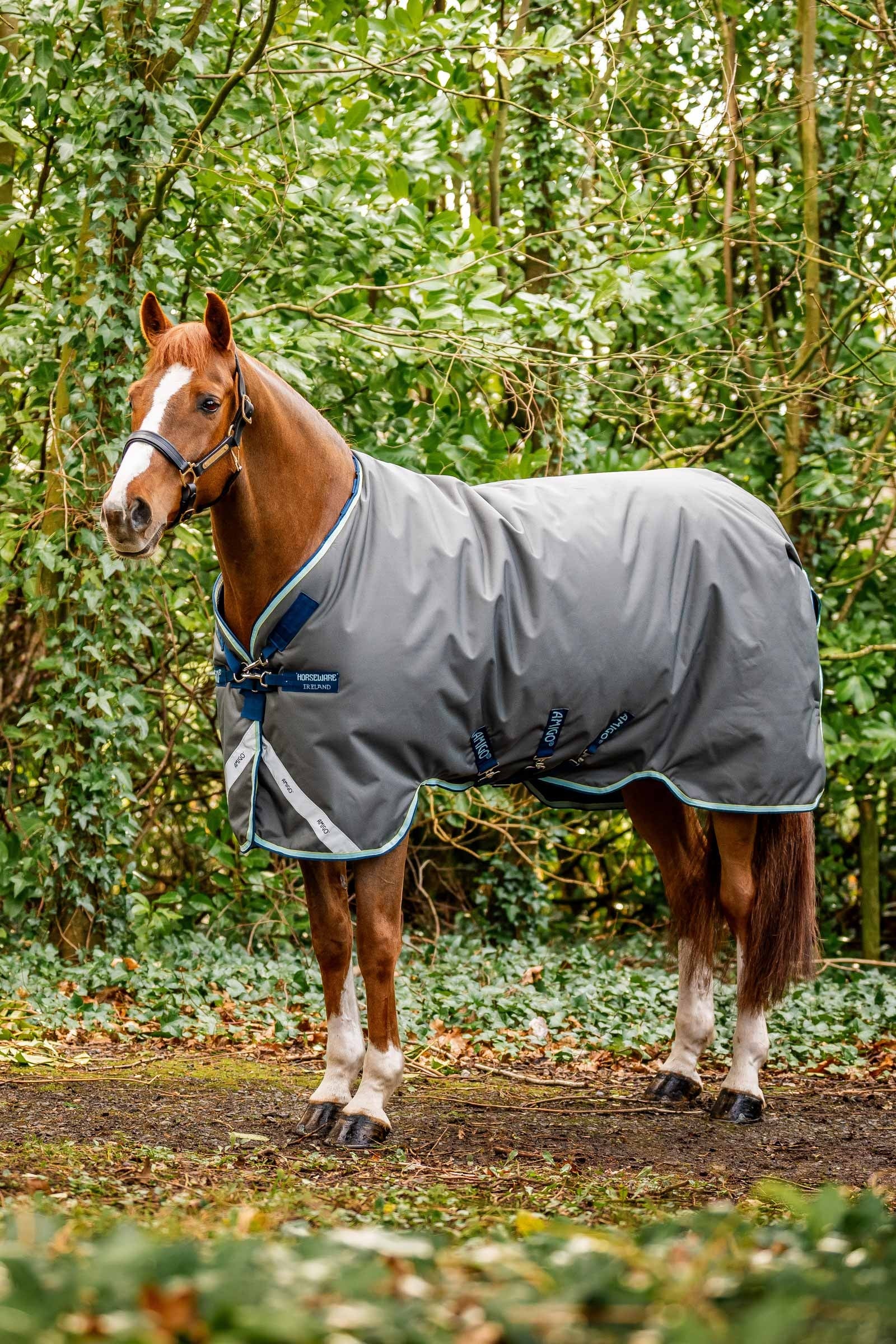 Horseware Amigo Bravo 12 Plus couverture d'extérieur avec cou amovible, 400g Couvertures cheval