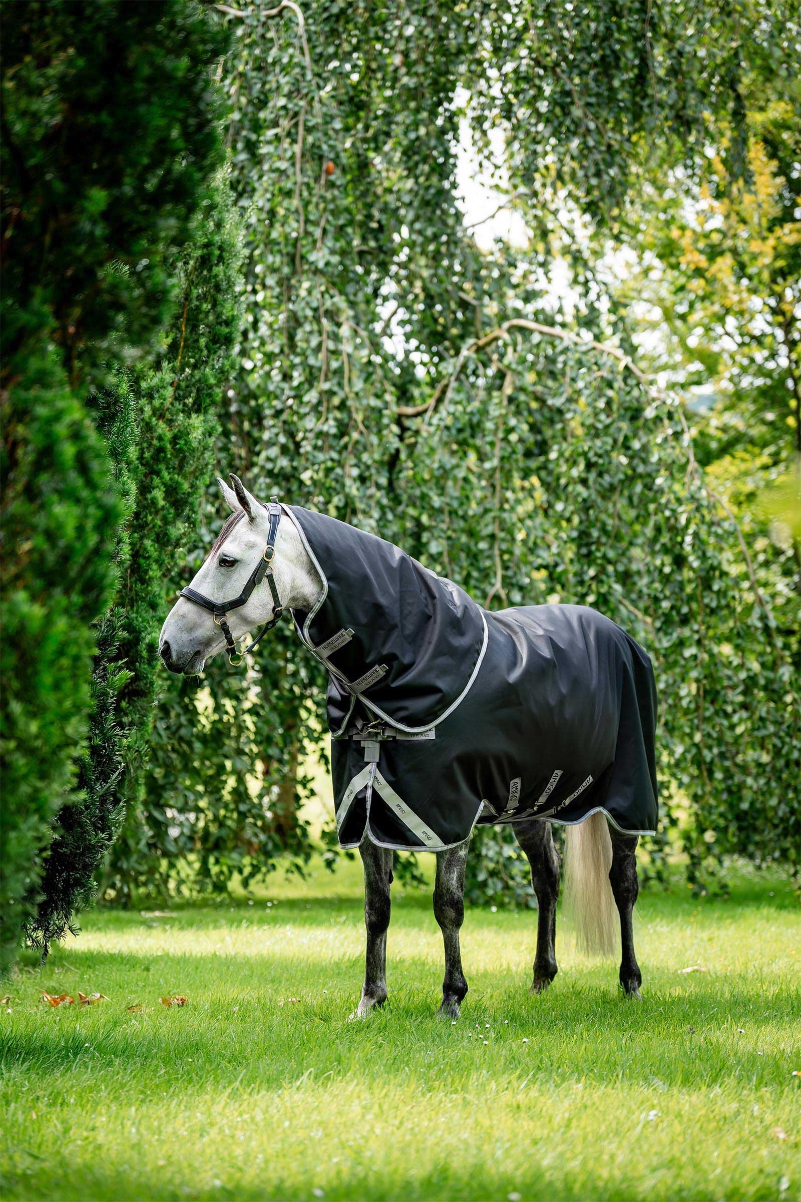 Horseware Amigo Bravo 12 Plus couverture d'extérieur avec cou amovible, 400g Couvertures cheval