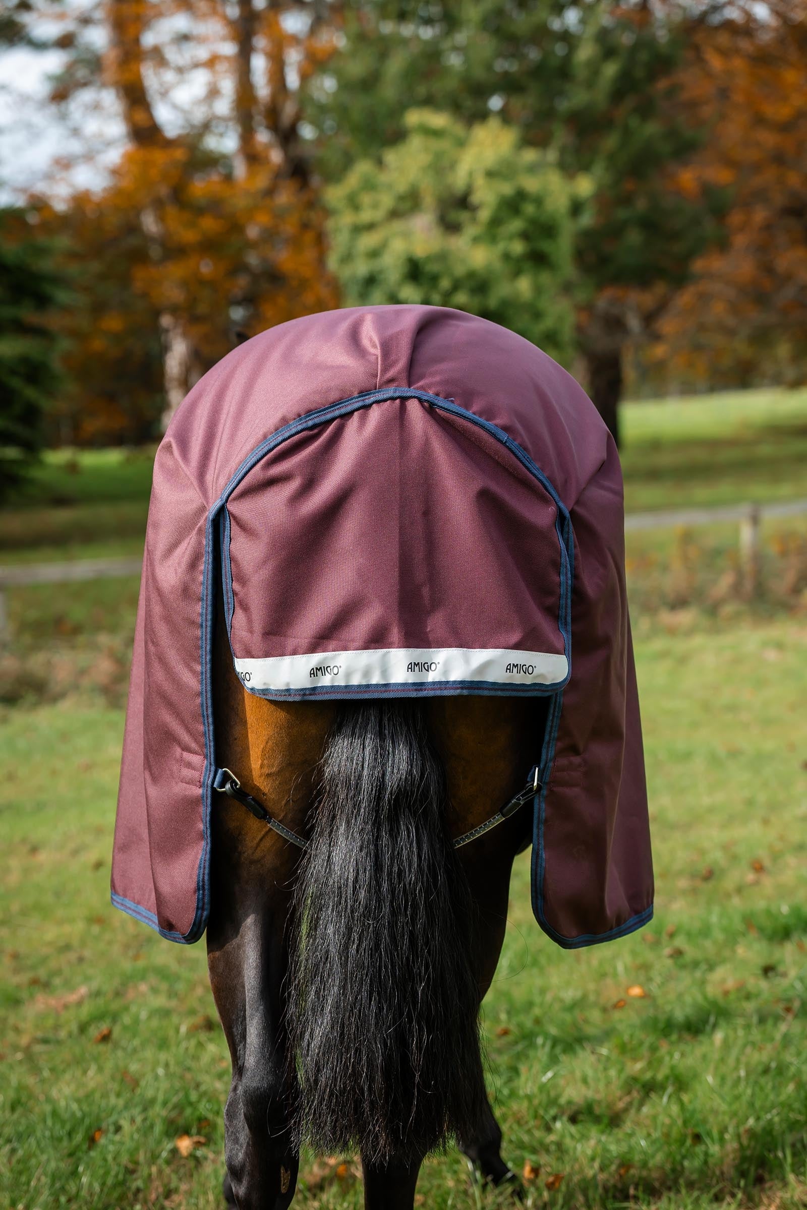 Horseware Amigo Bravo 12 Plus Turnout Rug With Detachable Neck, 400g Horse Rugs