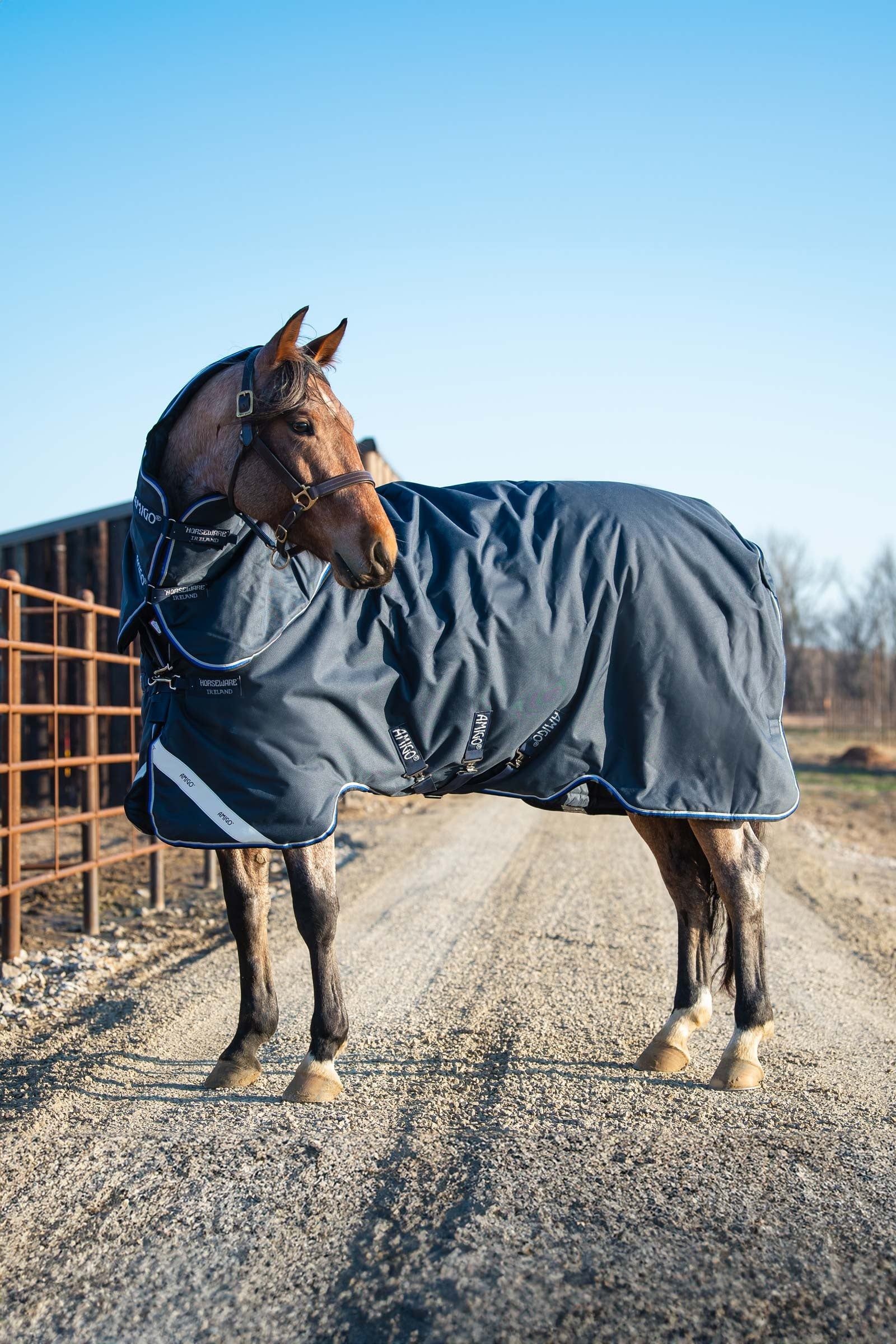 Horseware Amigo Bravo 12 Plus couverture d'extérieur avec cou amovible, 400g Couvertures cheval