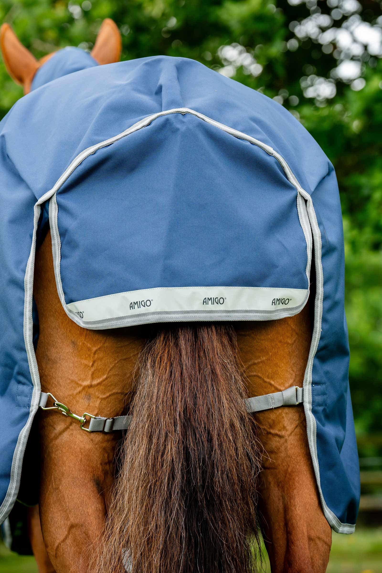 Horseware Amigo Bravo 12 Plus Turnout Rug With Detachable Neck, 400g Horse Rugs