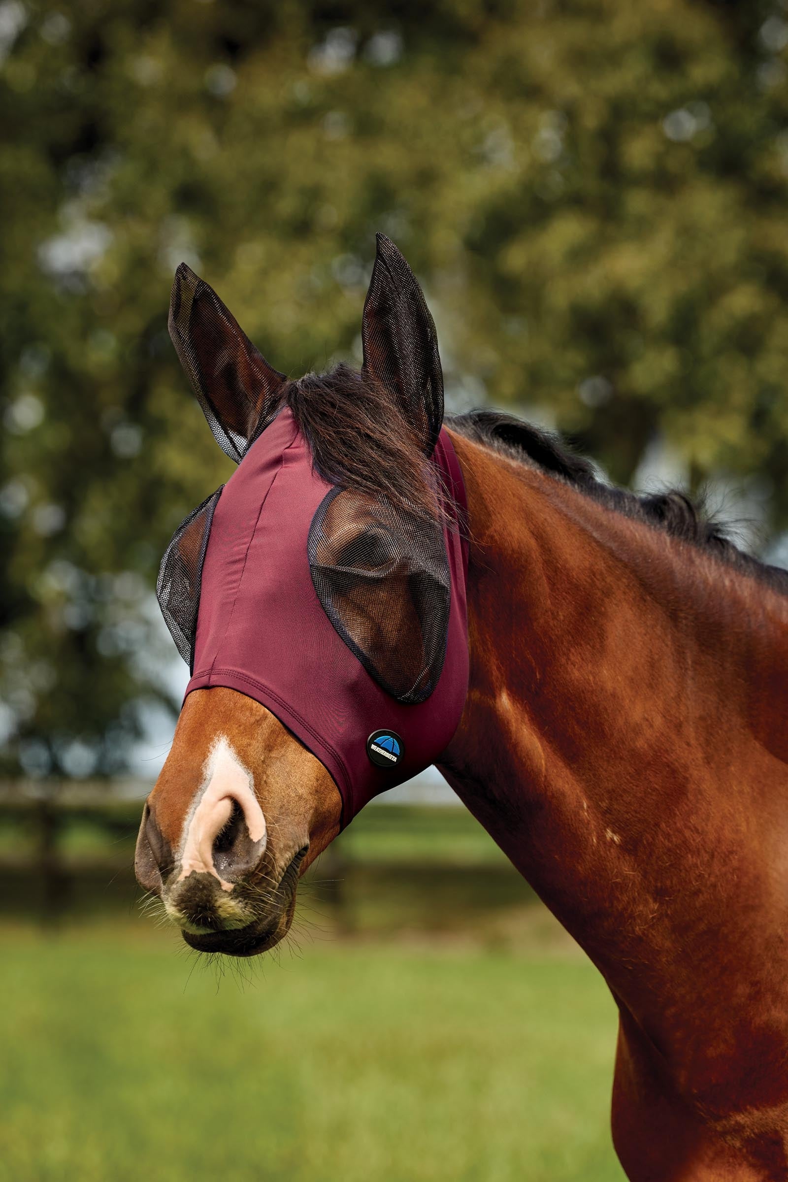 Weatherbeeta Comfitec Deluxe Stretch Fly Mask With Ears Antifly Protection for Horses