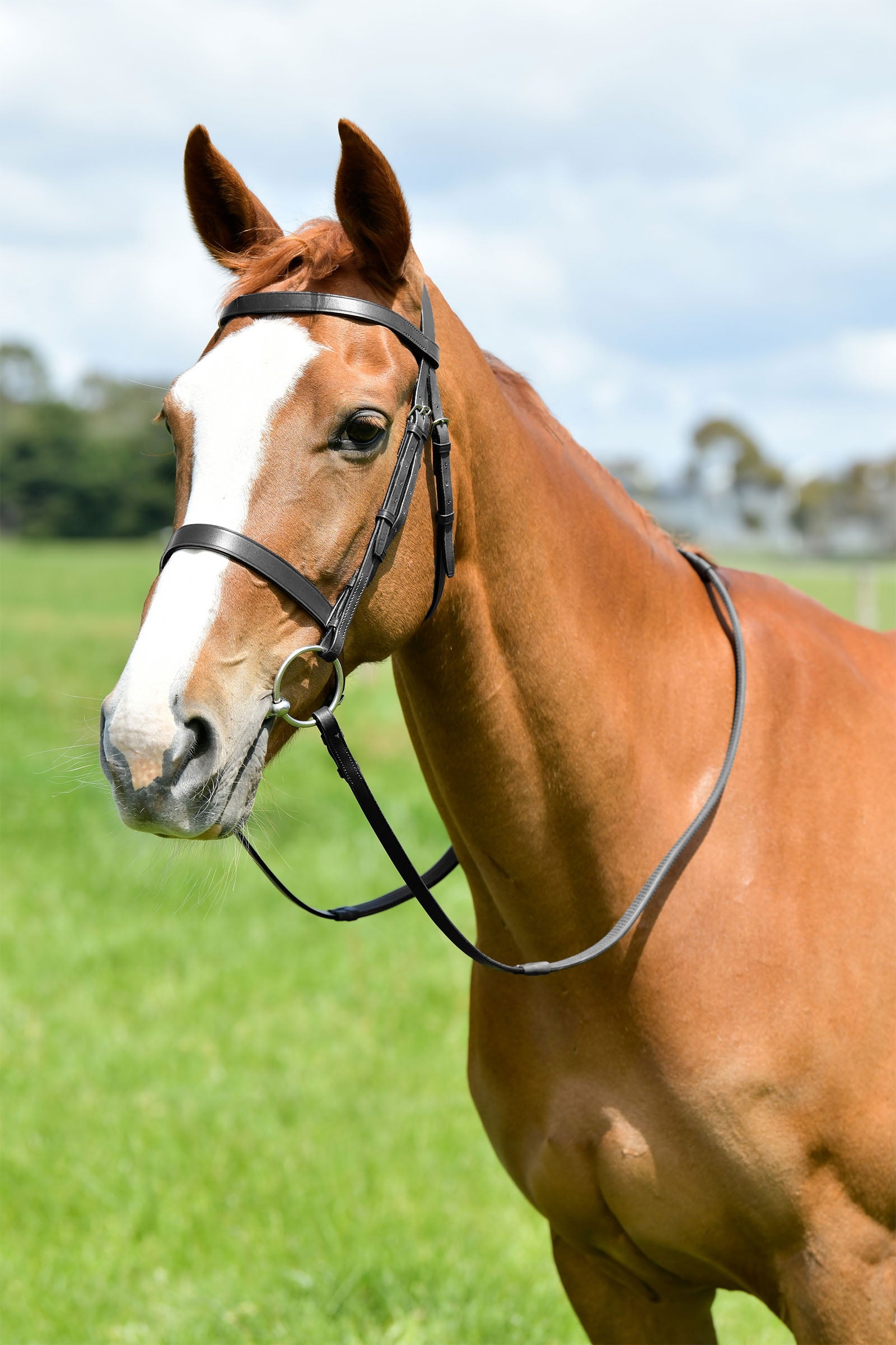 Kincade Classic bride de chasse plate avec rênes Briderie et enrênements