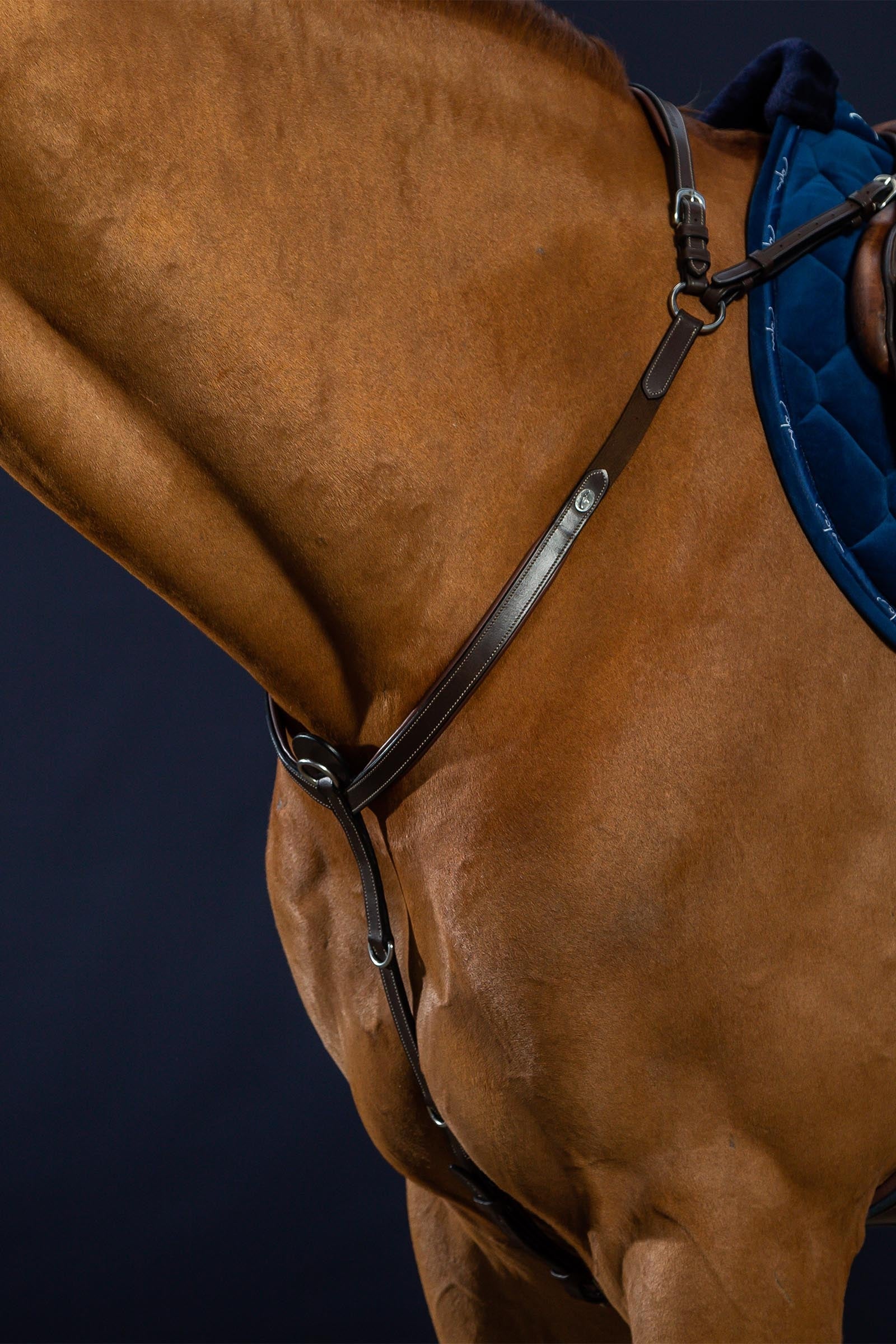 Dy'on Working Bridge Breastplate Bridles & Reins