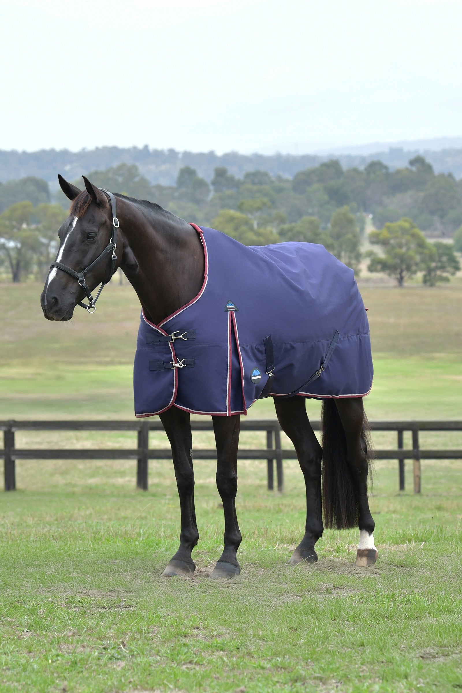 Weatherbeeta ComFiTec Essential Turnout Standard Neck 50G Couvertures cheval