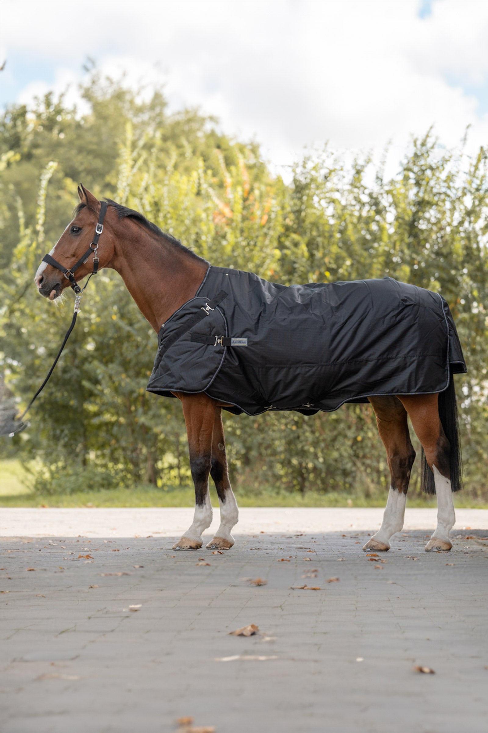 Kavalkade Halifax 2-en-1 Couverture d'extérieur et Couverture marcheur 50g Couvertures cheval