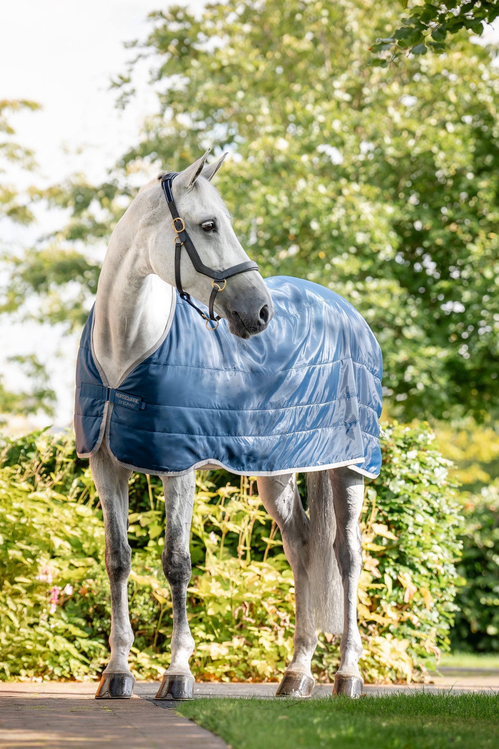 Horseware Ionic Therapy doublure 200 g Couvertures cheval