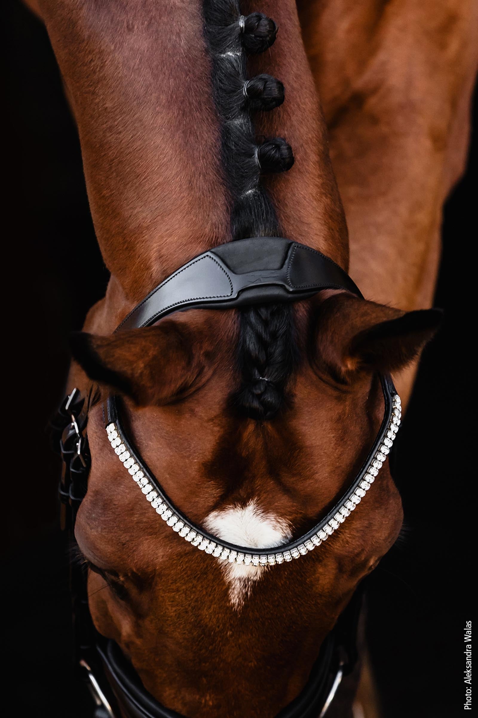 Schockemöhle Sports Johnny Bridle - Isabell Werth Collection Bridles & Reins