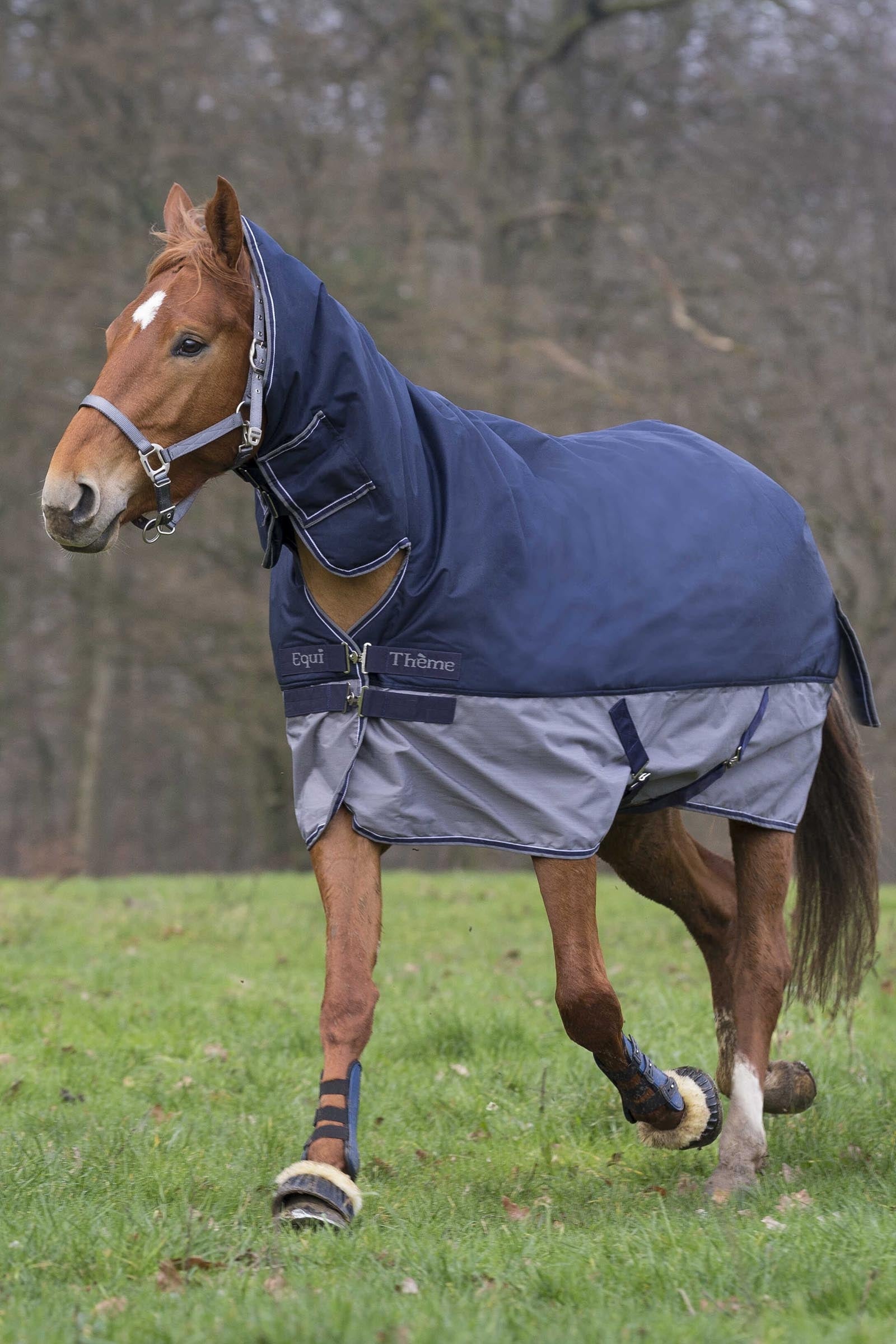 Equi Theme EQUITHÈME TYREX 600D Combo Rug, 200 g Horse Rugs