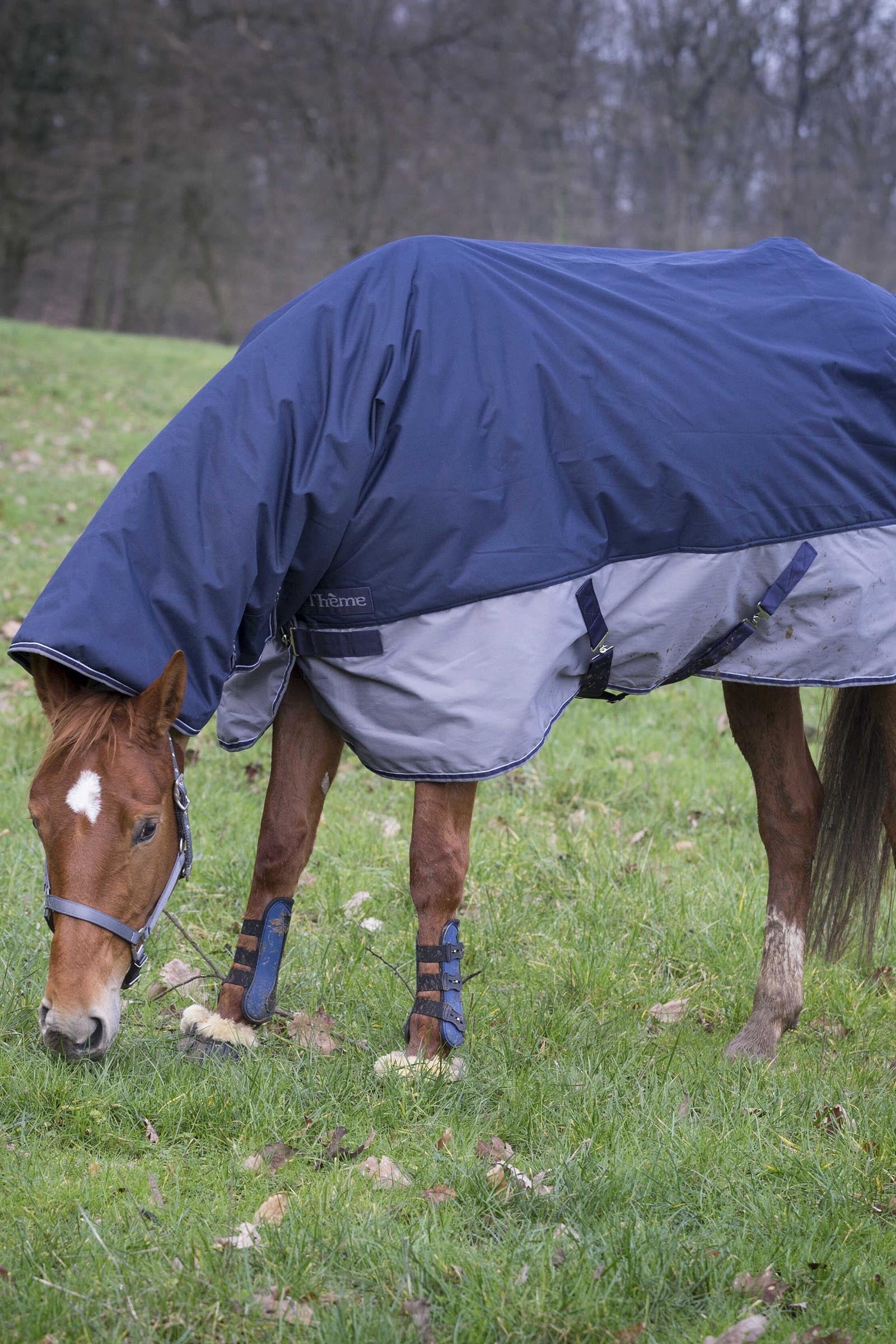 Equi Theme EQUITHÈME TYREX 600D Combo Rug, 200 g Horse Rugs
