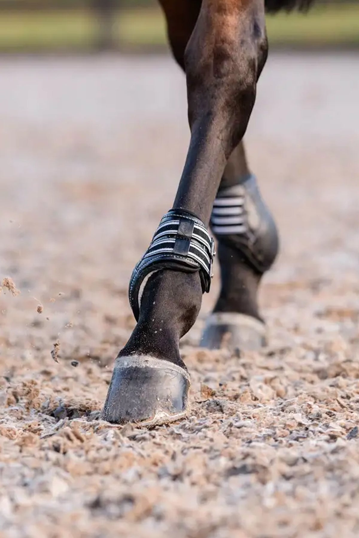 EquiFit D-Teq™ Hind Boot - ImpacTeq® Liner (Pair) Leg & Hoof Protection