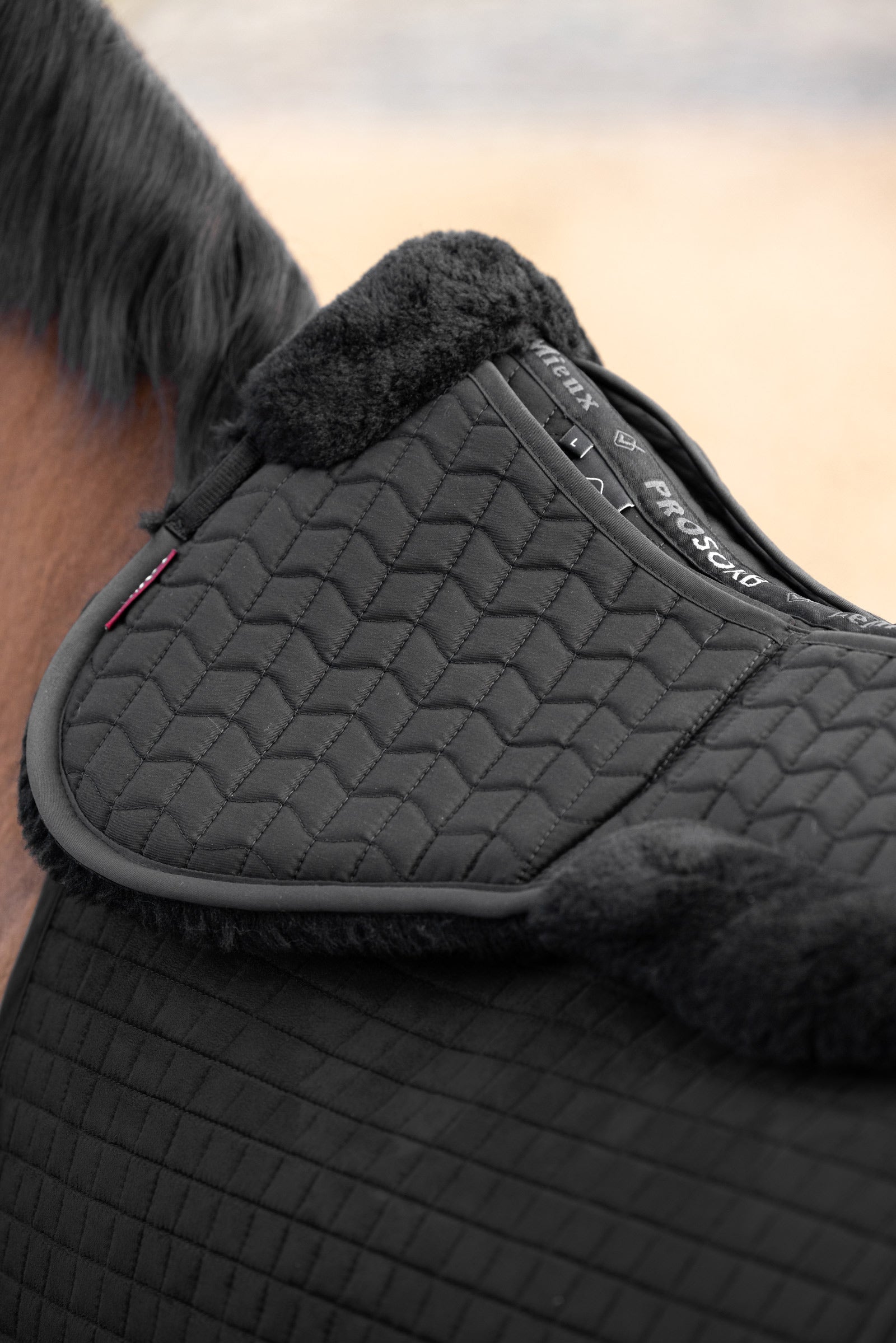LeMieux Merino+ ProSorb 2 Pocket Half Pad Saddle Pads
