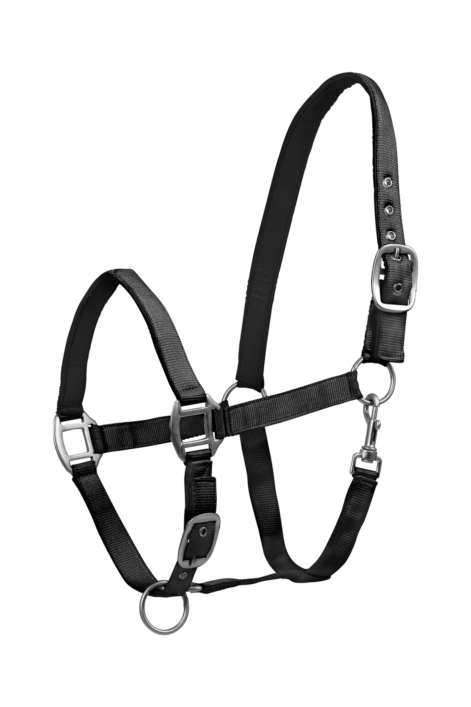 Waldhausen Perlon Satin Halter Halters & Leads