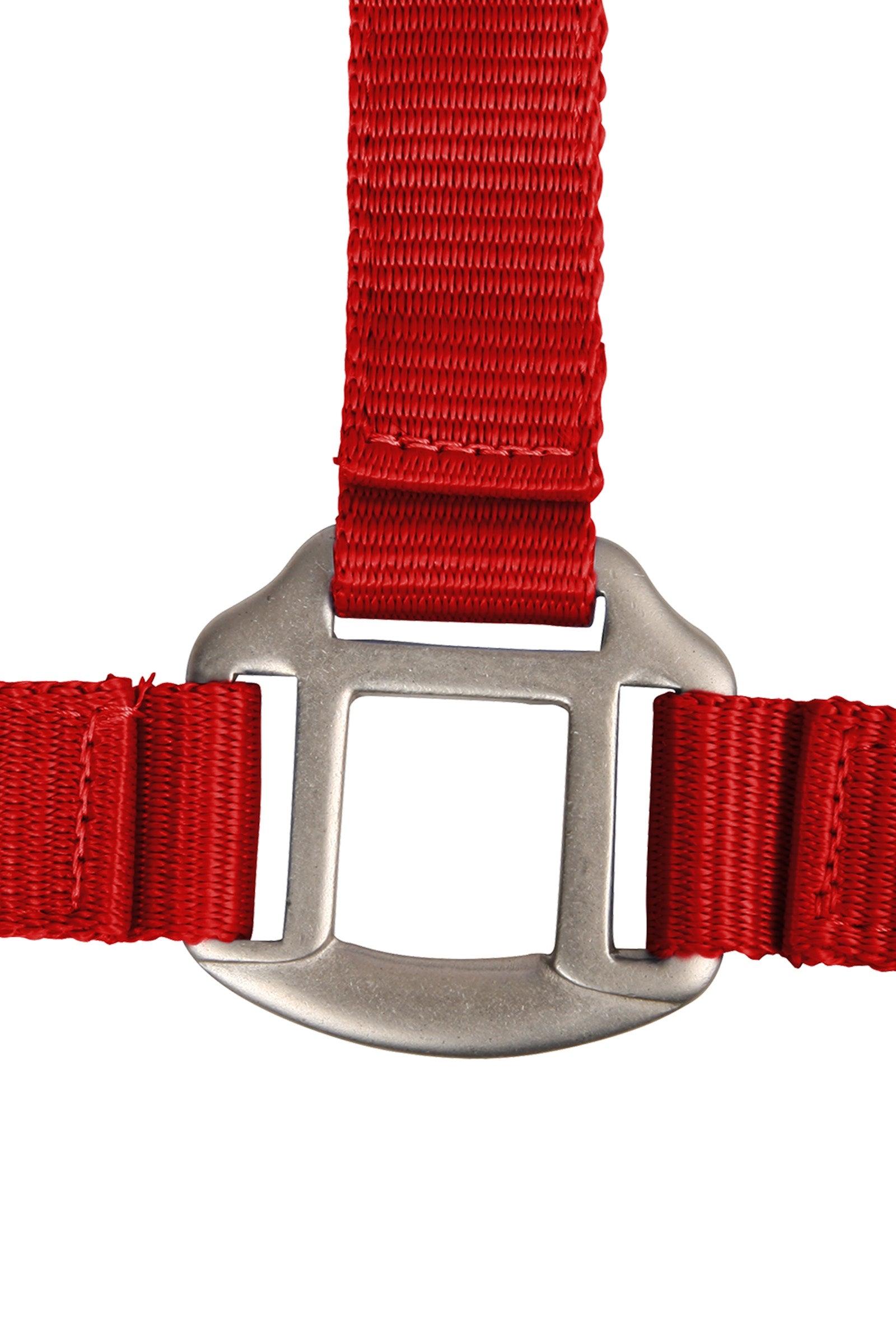 Waldhausen Perlon Satin Halter Halters & Leads