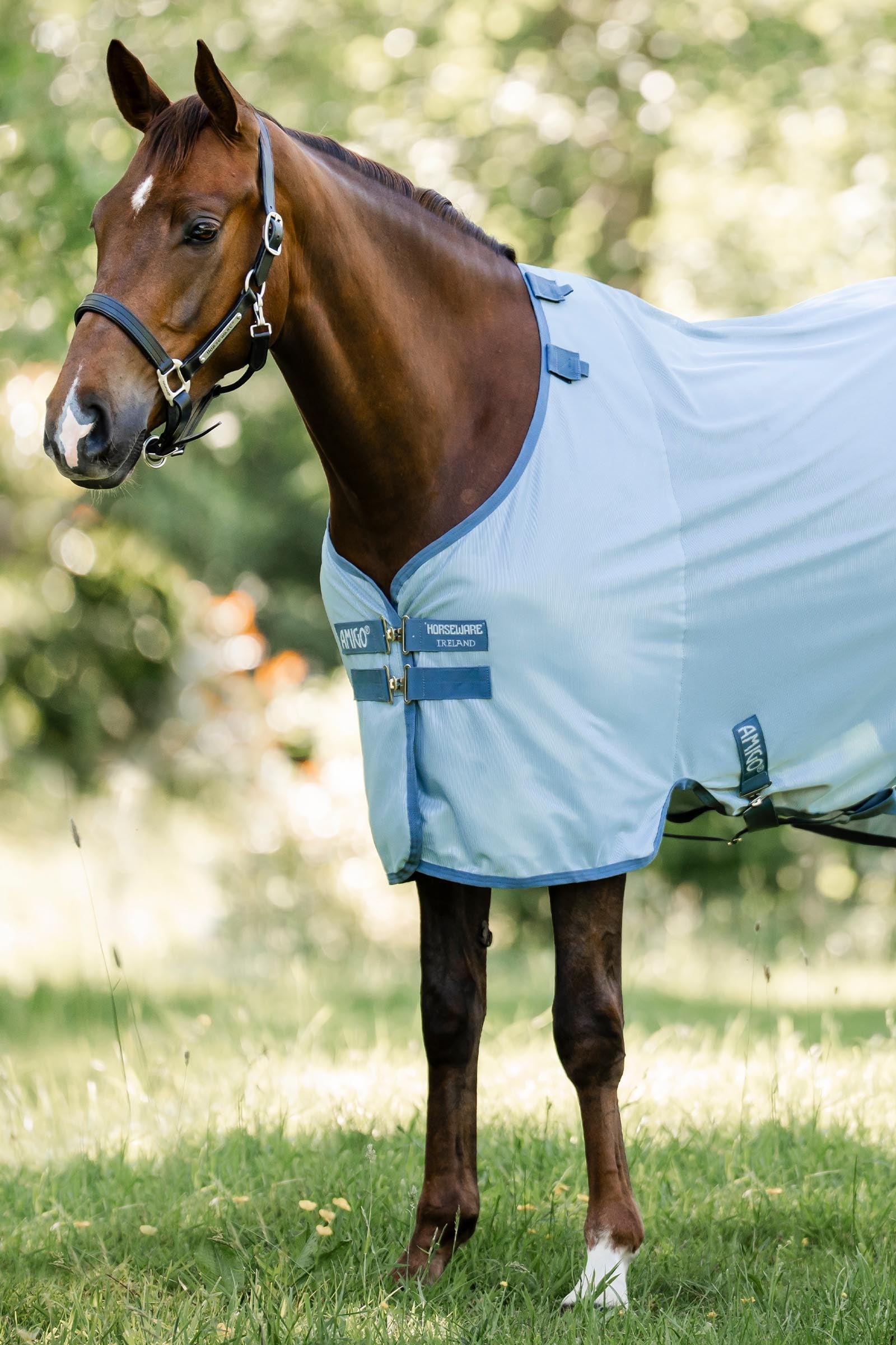 Horseware Amigo couverture anti-mouches avec protection UV Couvertures cheval