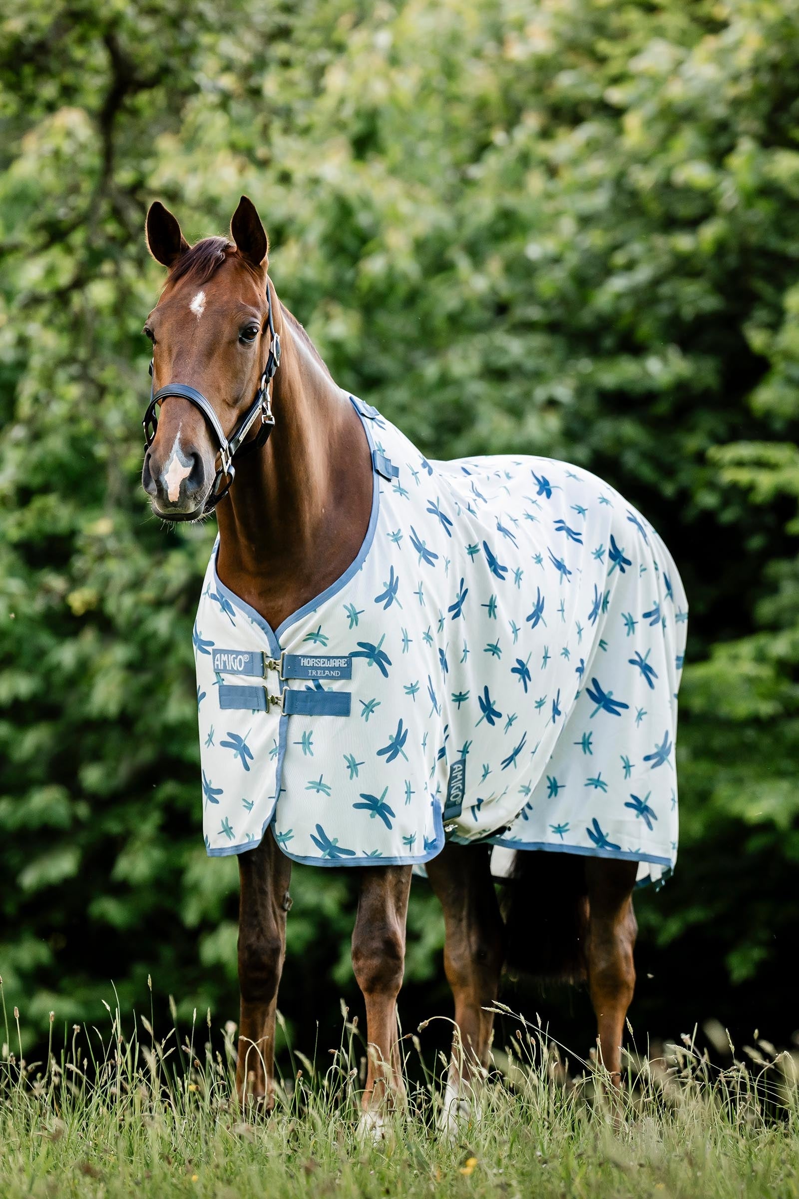 Horseware Amigo couverture anti-mouches avec protection UV Couvertures cheval