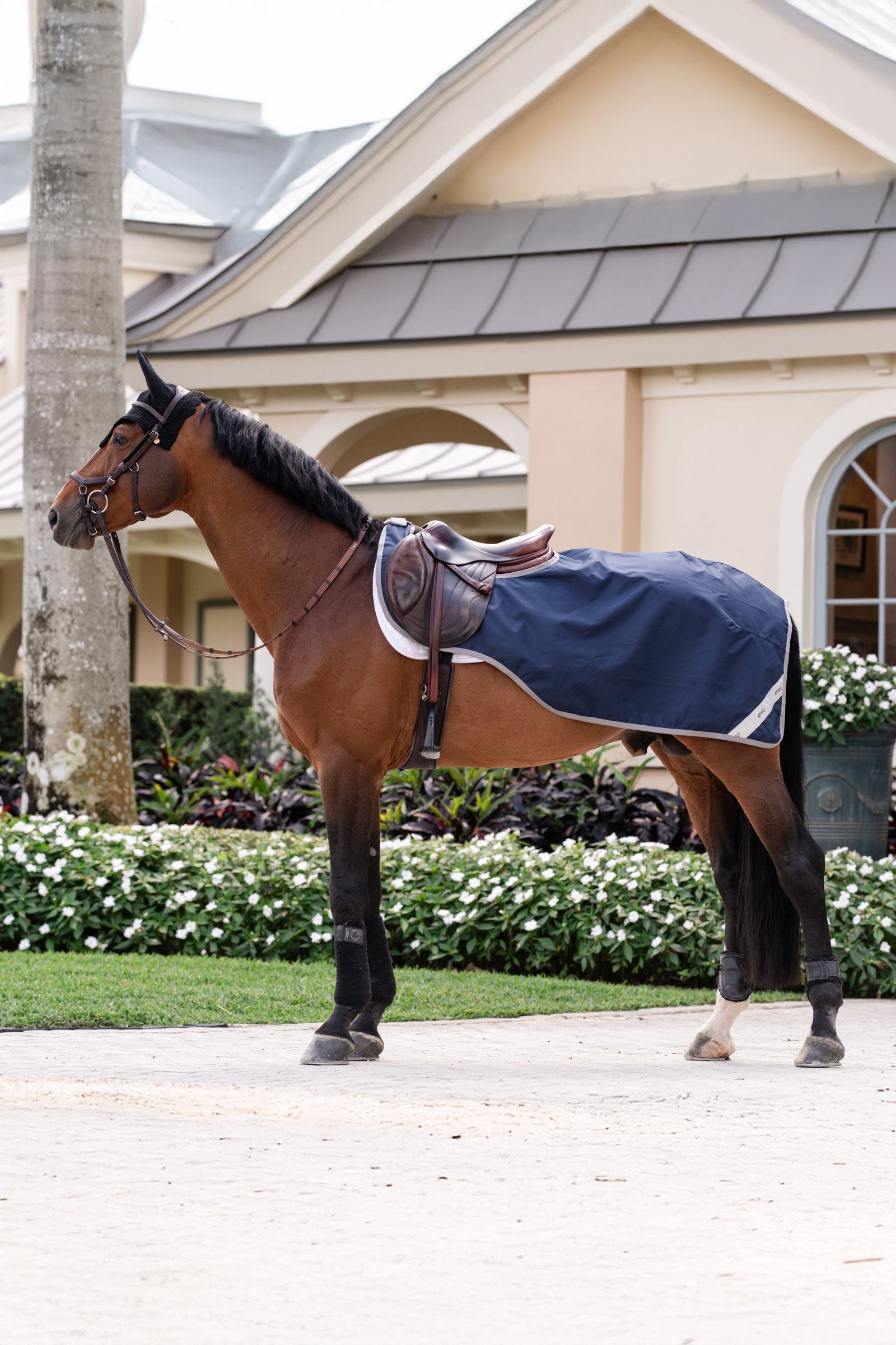Horseware Amigo Ripstop couverture d’exercice Couvertures cheval