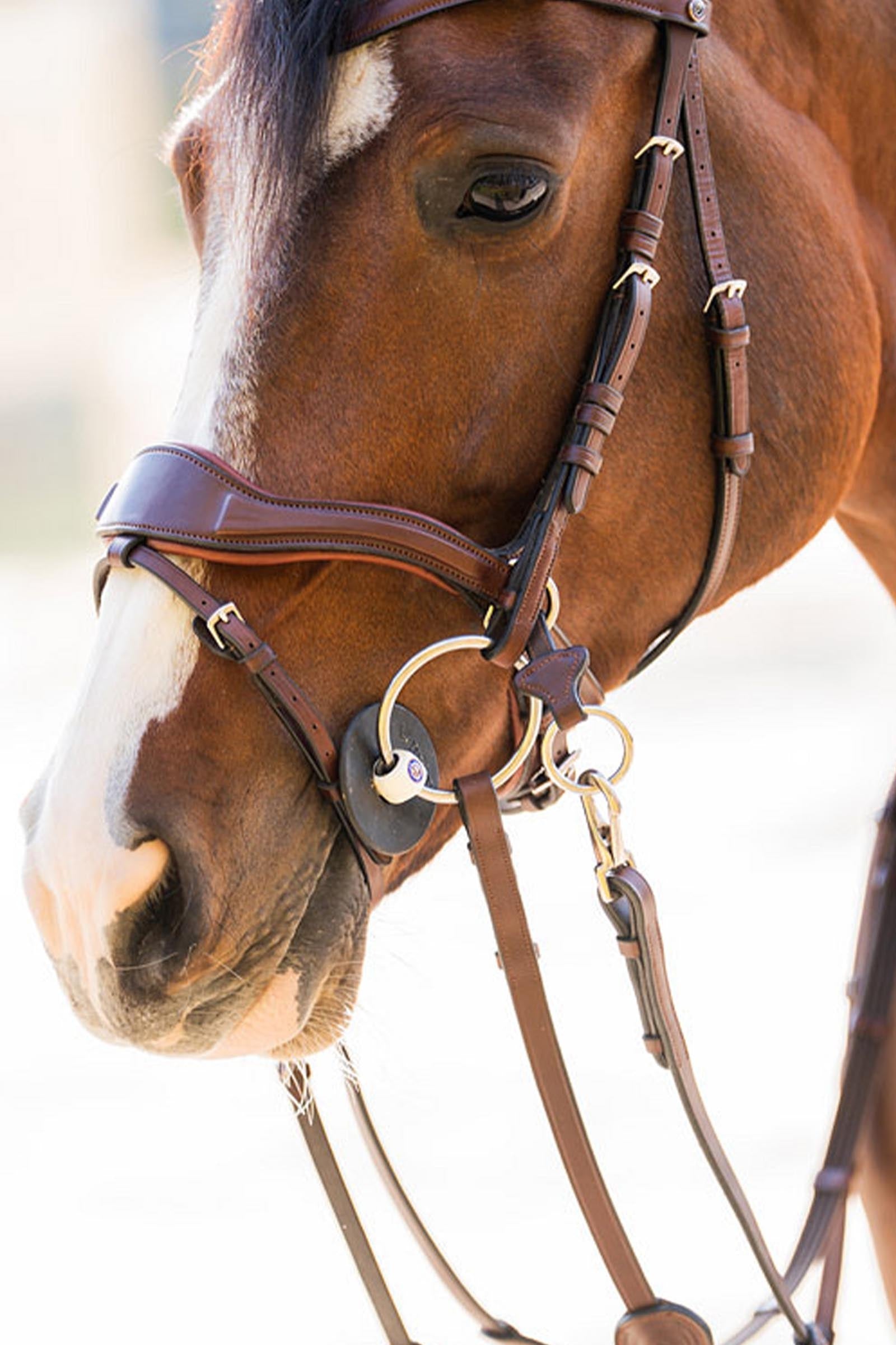 Trust Equestrian Falsterbo T-motion Bridle Bridles & Reins