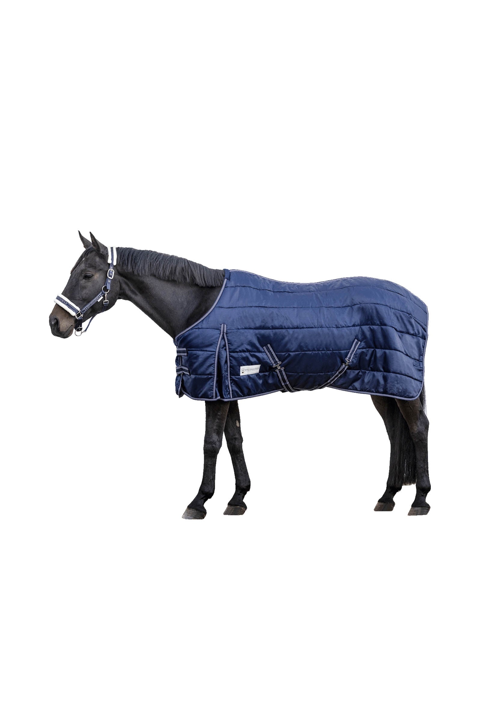 Waldhausen Stable Rug Economic 300 g Couvertures cheval
