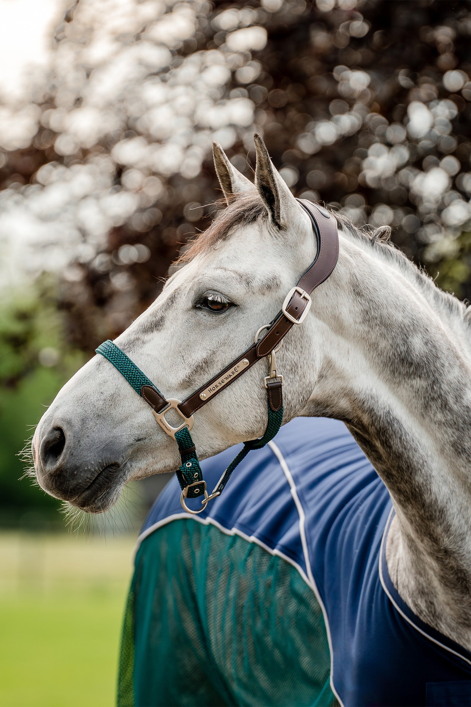 Horseware Signature Licol tressé Licols & longes