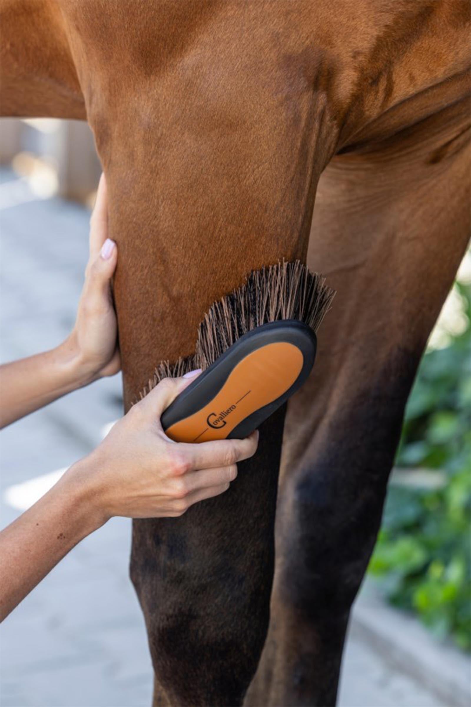 Covalliero 2K Brush, Size 1 Horse Grooming Tools