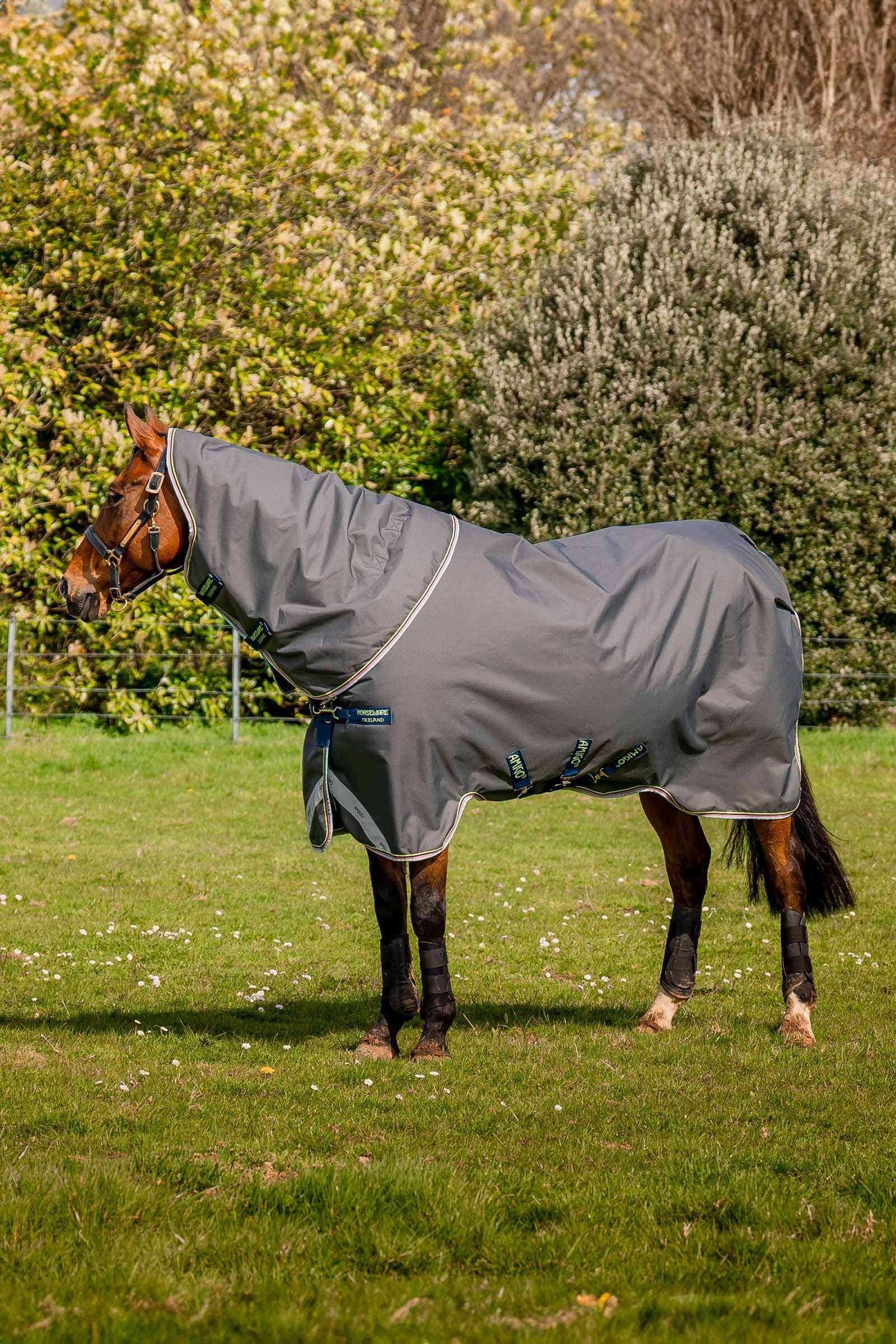 Horseware Amigo Bravo 12 Plus couverture d'extérieur, 250 g Couvertures cheval
