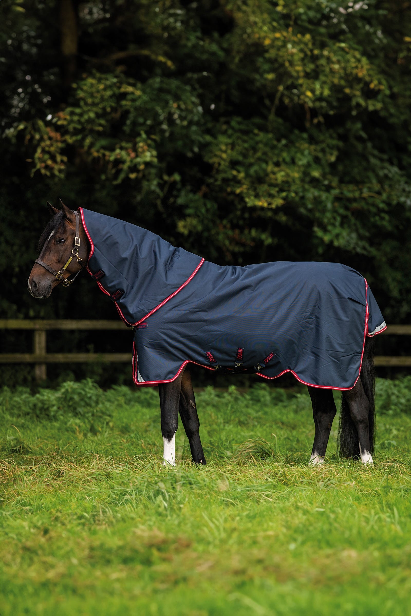 Horseware Amigo Bravo 12 Plus couverture d'extérieur, 250 g Couvertures cheval