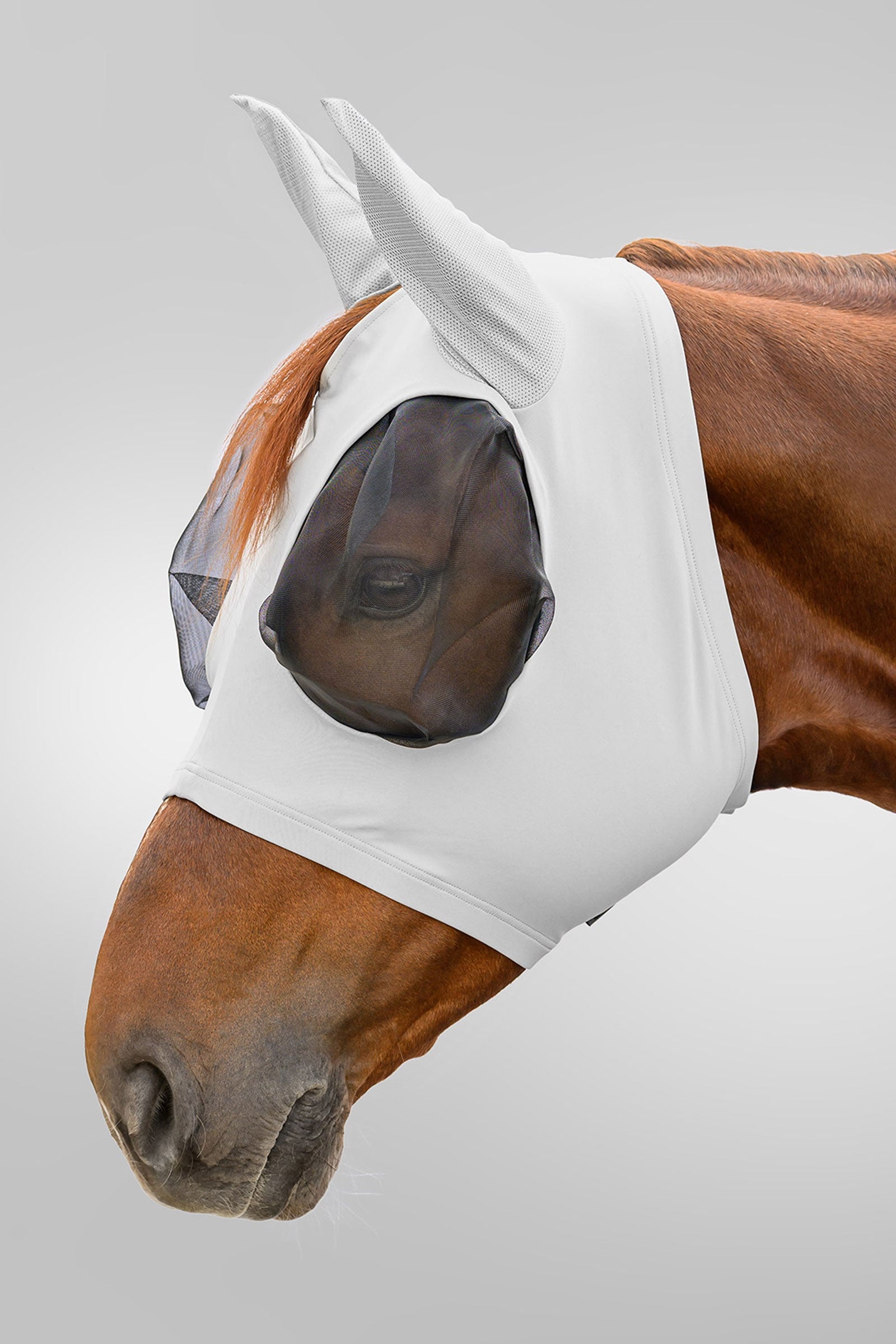 Waldhausen Flex Puck masque anti-mouches avec protection UV Anti-mouches cheval