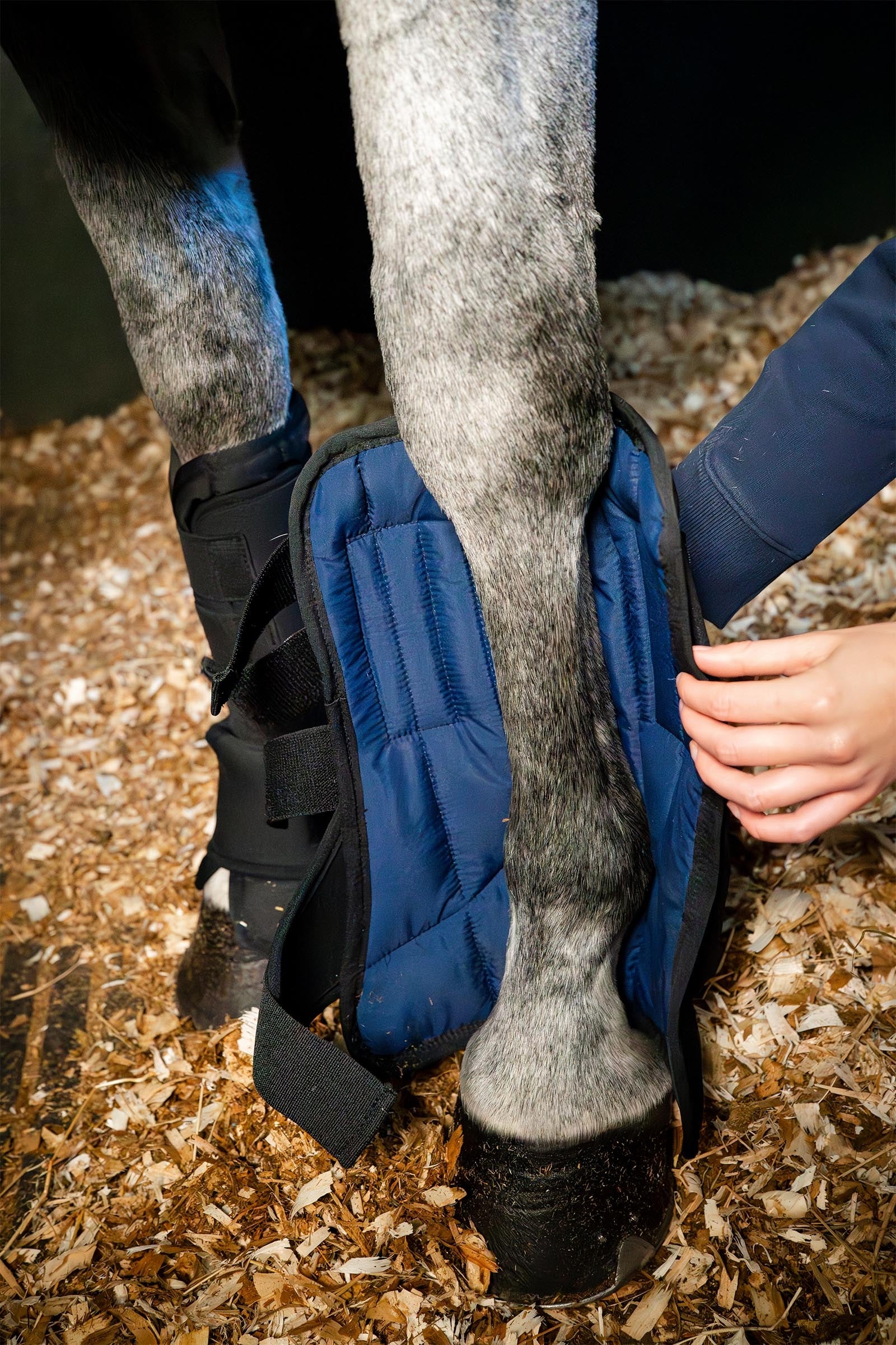 Horseware botte d’écurie Ionic liner Leg Protection & Hoof Protection for Horses