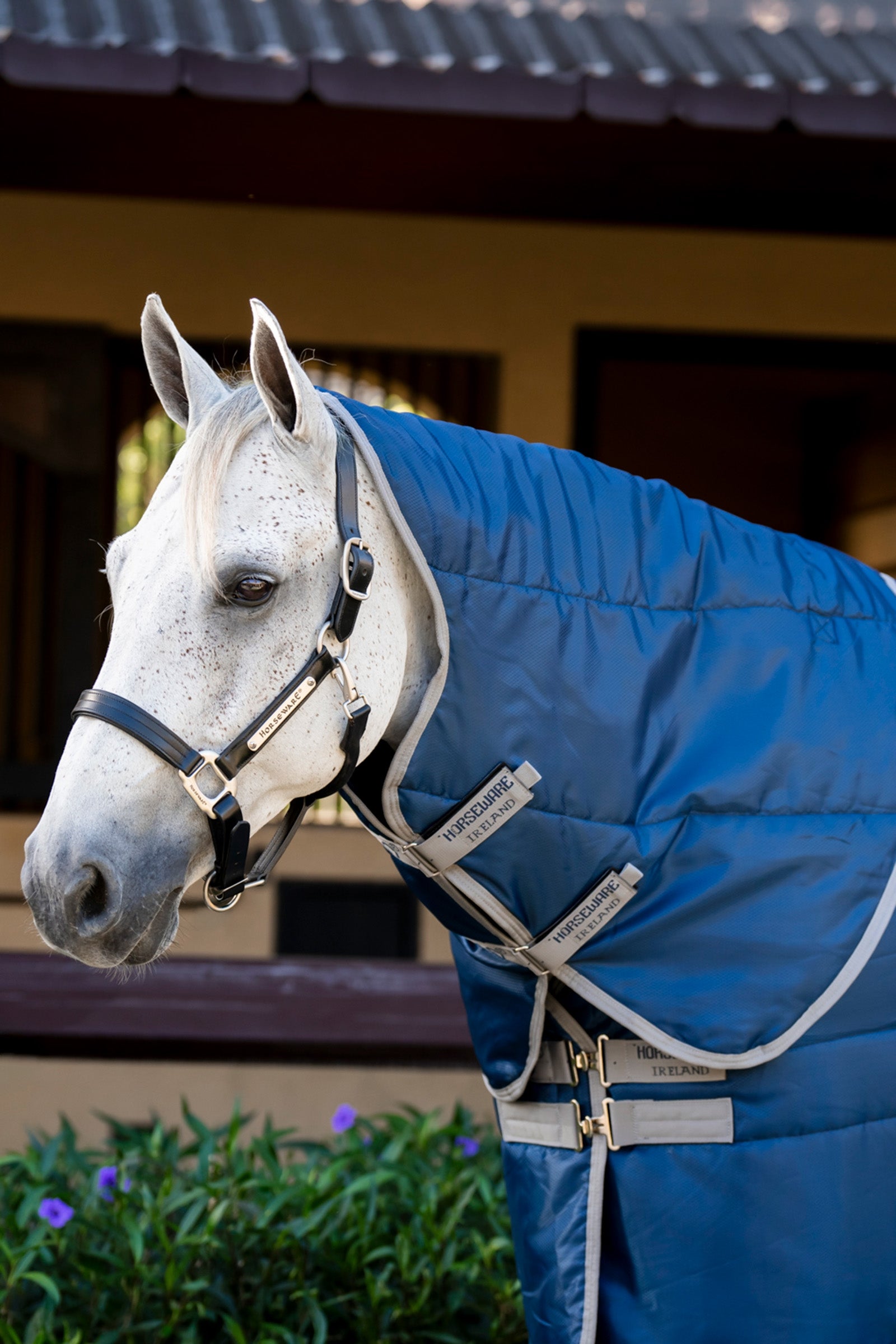 Horseware Amigo Ripstop Insulator capuchon écurie, 100 g Couvertures cheval