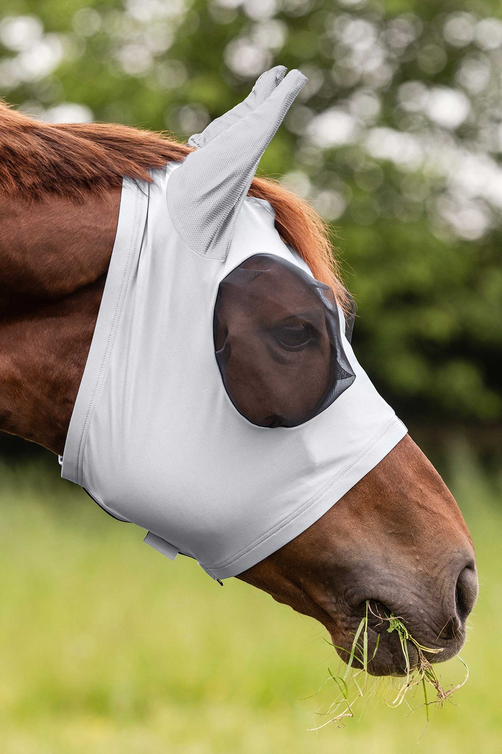Waldhausen Puck Fly Mask With Zip and  UV-Protection Antifly Protection for Horses