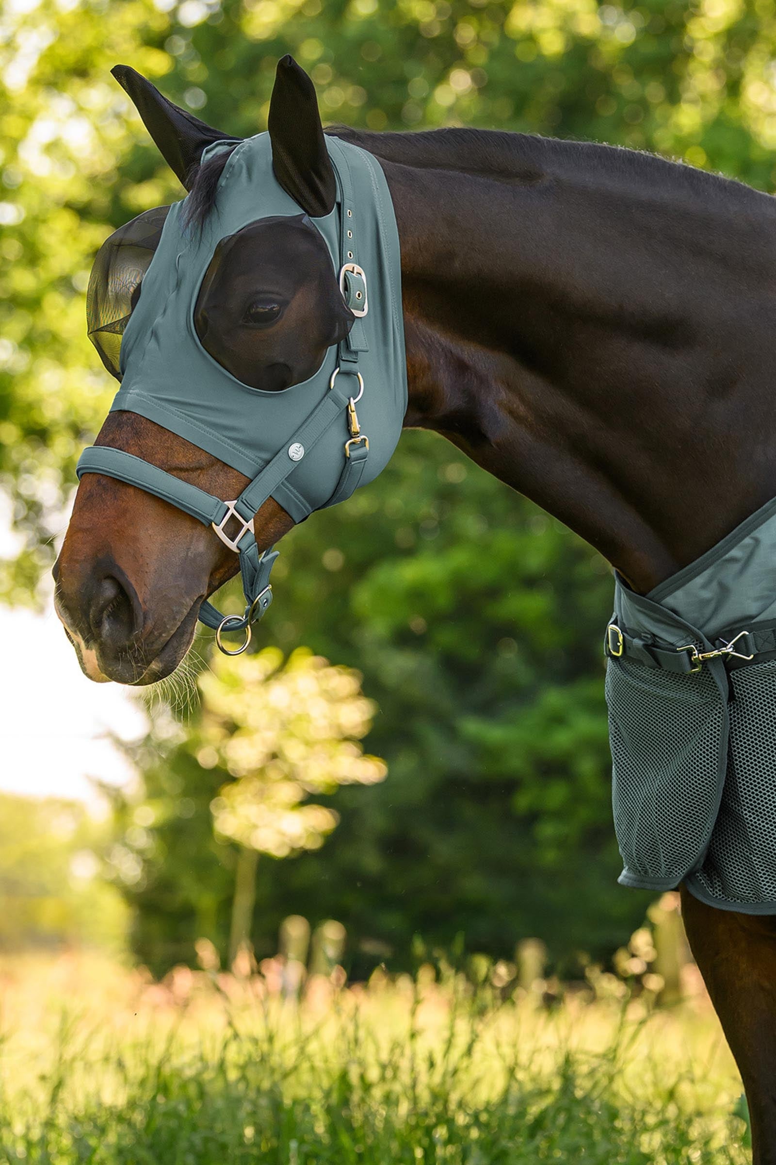 Waldhausen Puck Fly Mask With Zip and  UV-Protection Antifly Protection for Horses