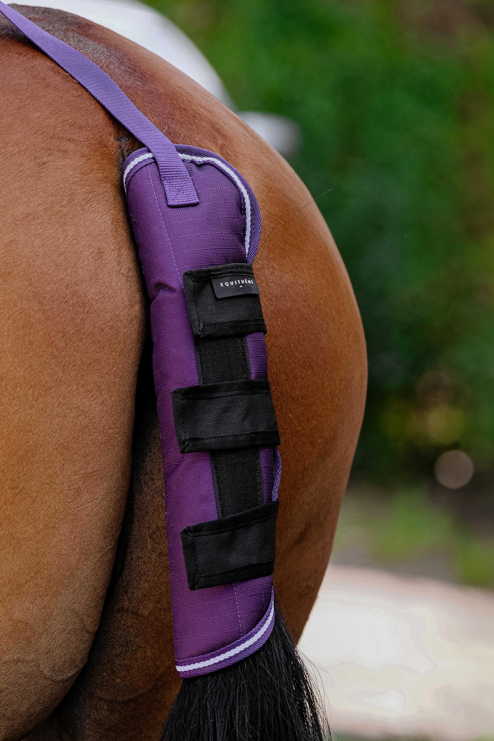 EQUITHÈME TYREX 600D protège-queue Plume Leg & Hoof Protection