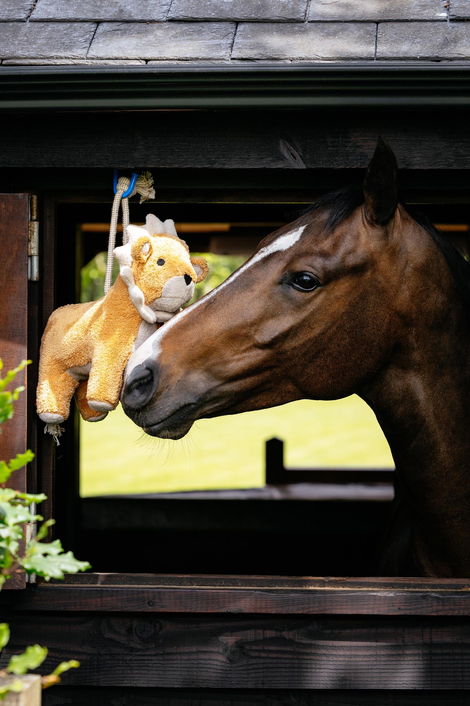 LeMieux Plush Horse Toy Lion Horse Toys & Riding Arena Supplies