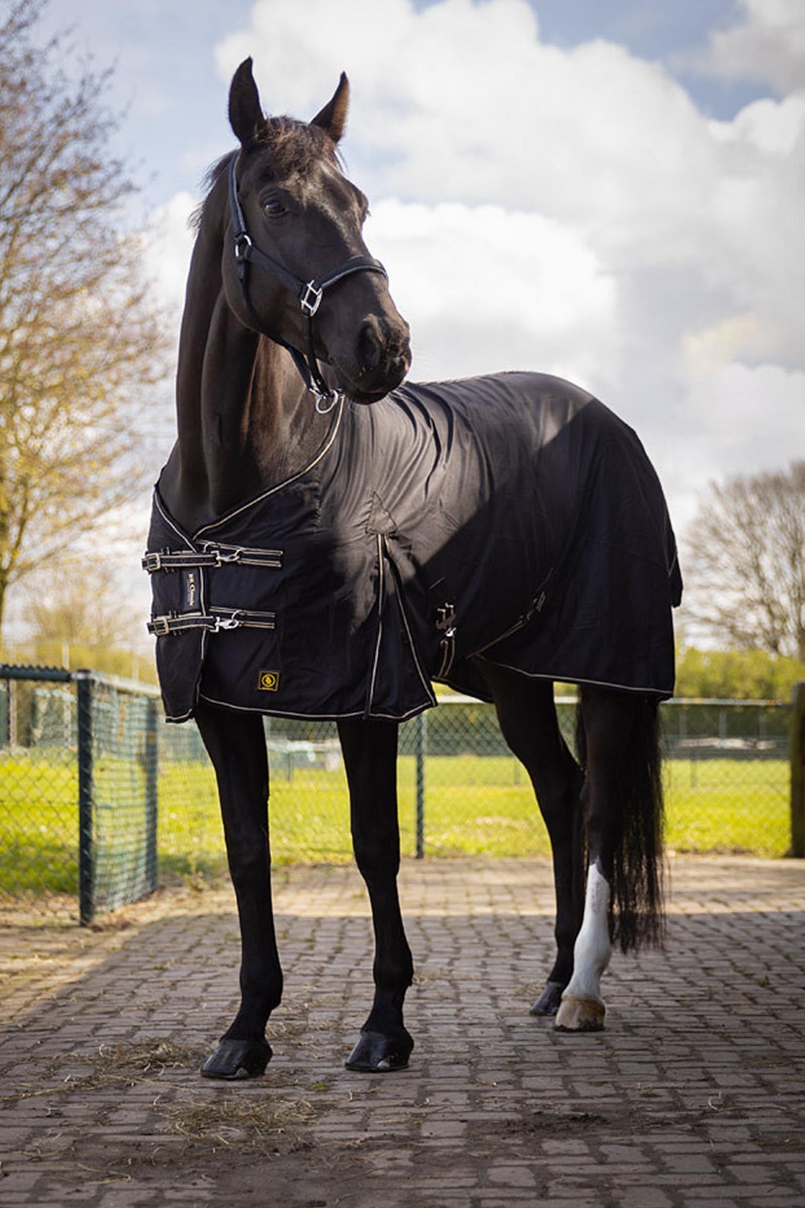 BR Classic Cotton Turnout Rug Horse Rugs