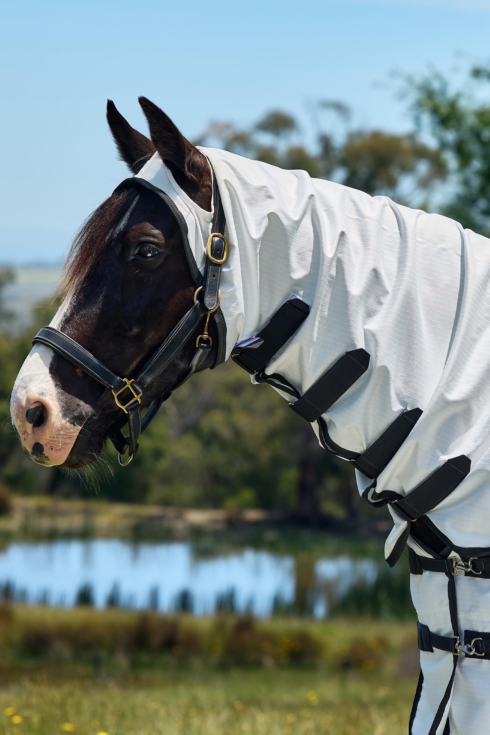 Weatherbeeta Comfitec Sweet Itch Shield Fly Sheet Combo W. Fixed Neck, 0g Horse Rugs