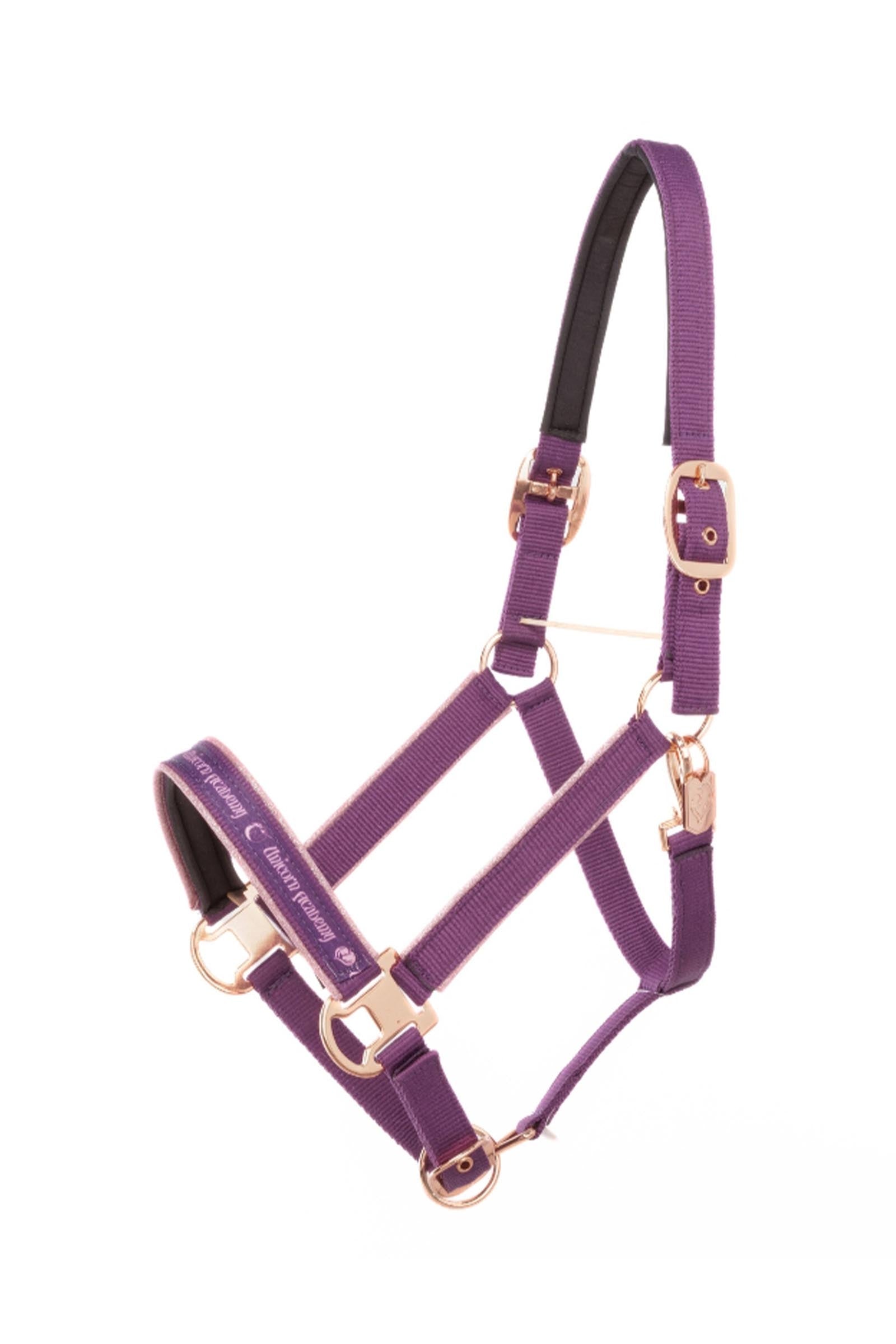 Kavalkade Unicorn Academy licol avec paillettes Licols & longes