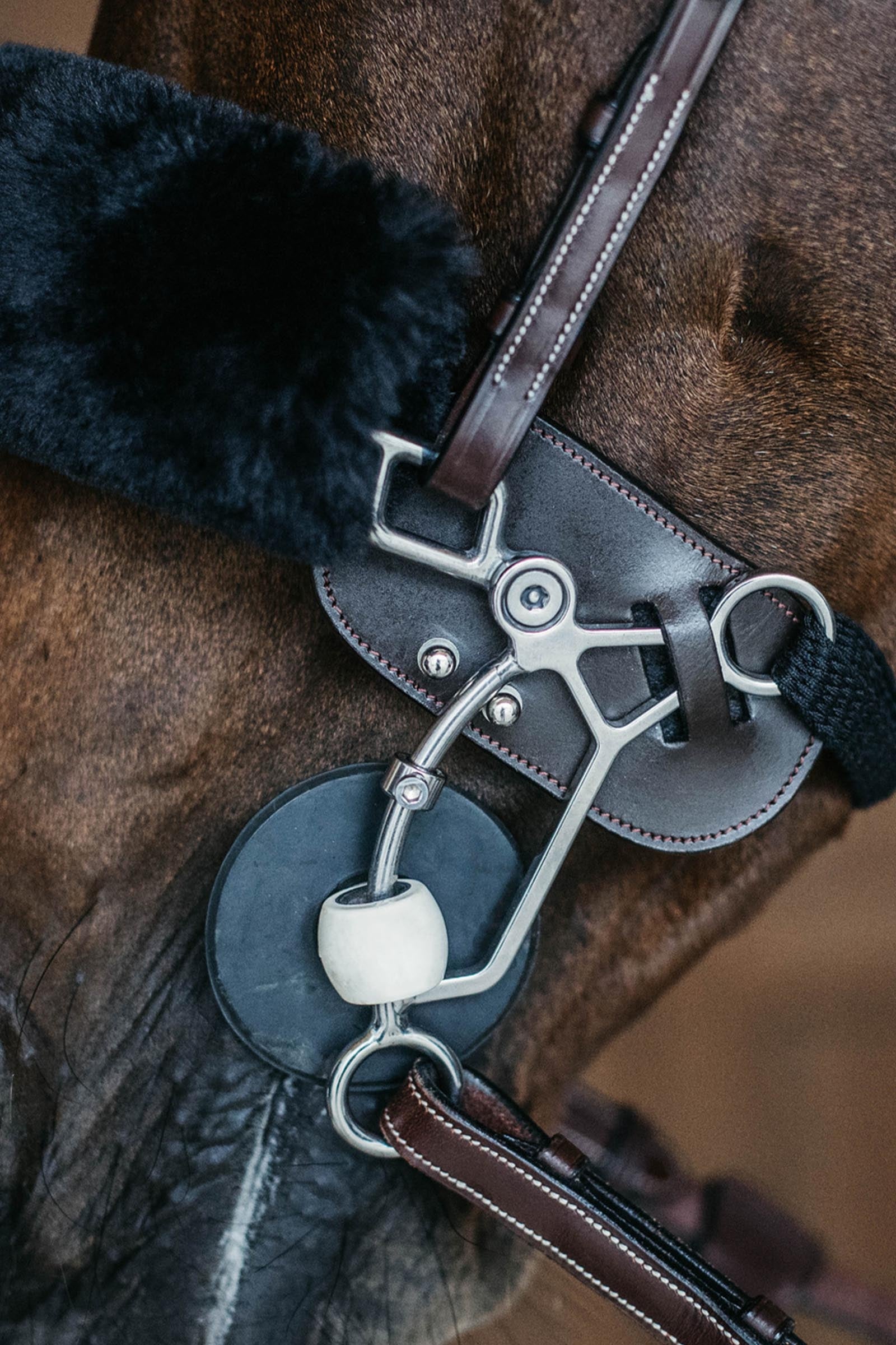 Dy'on Hackamore Protection Horse Bits