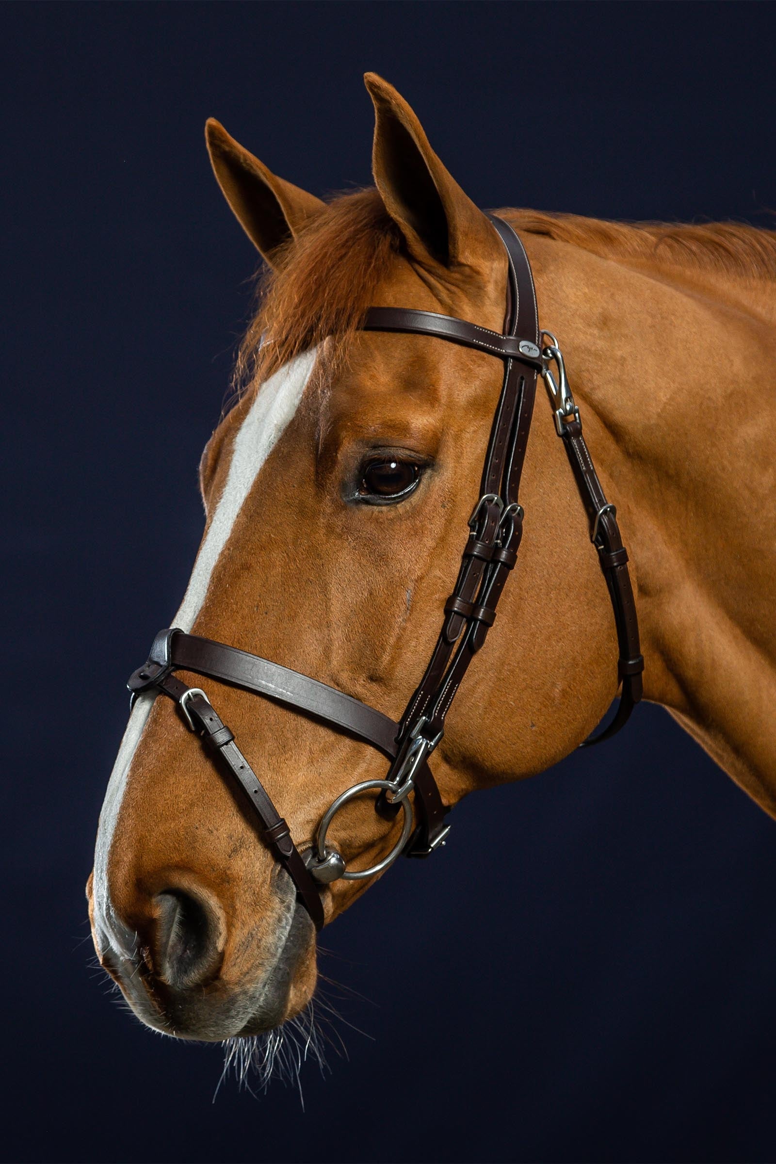 Dy'on Working Flat Leather Bridle With Snap Hooks Bridles & Reins