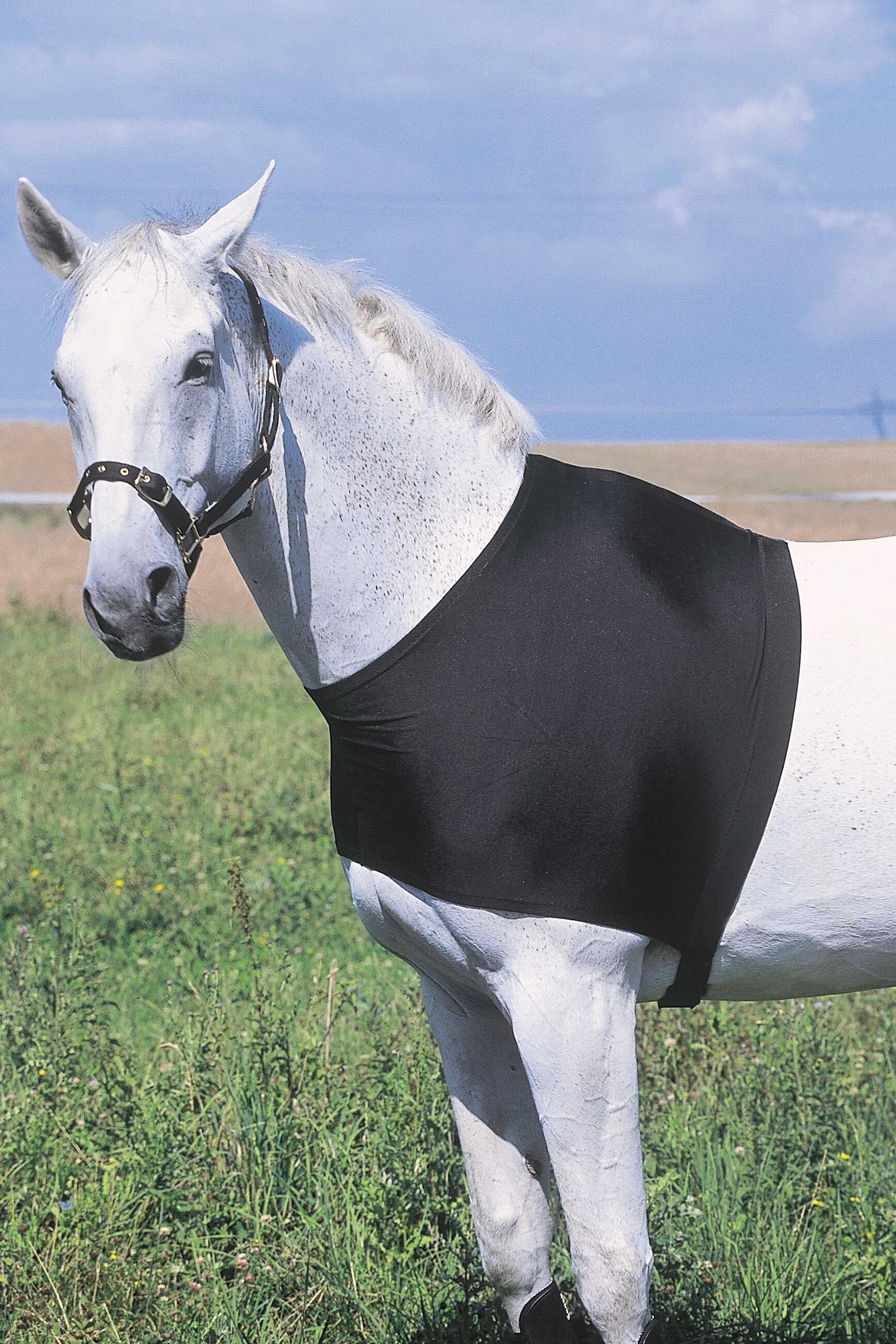 Equi Theme EQUITHÈME Shoulder Protection Horse Rugs